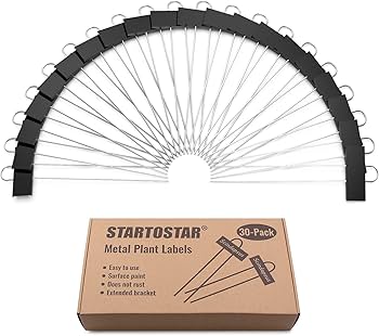 ダリア Green Label Relaxing 784712 WOMENS】先週の人気ランキングTOP10 ＜3/26＞ - UAコラム／UA