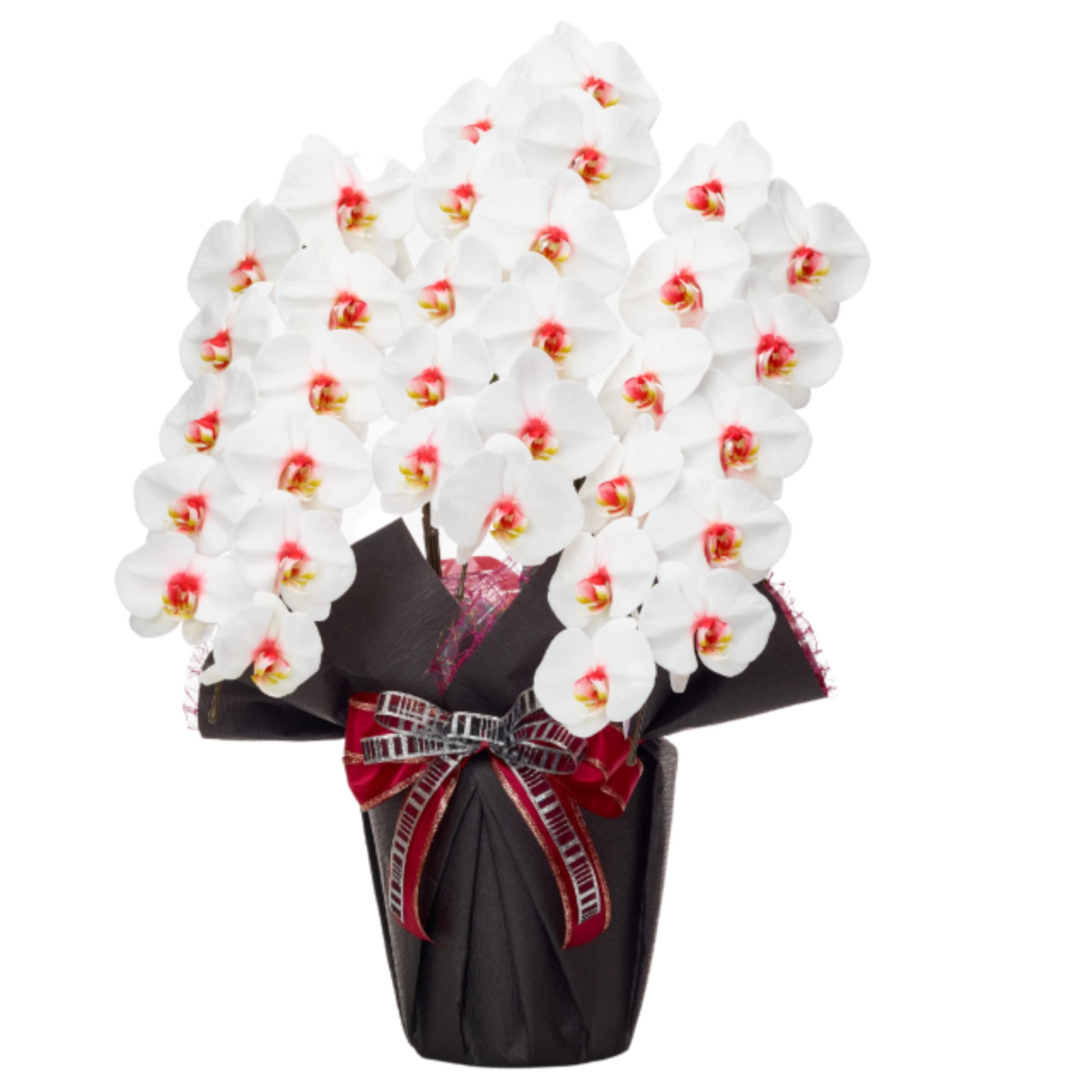 Amazon｜【サムライフラワー】カラフル胡蝶蘭 3本立 白赤(リップ) 33