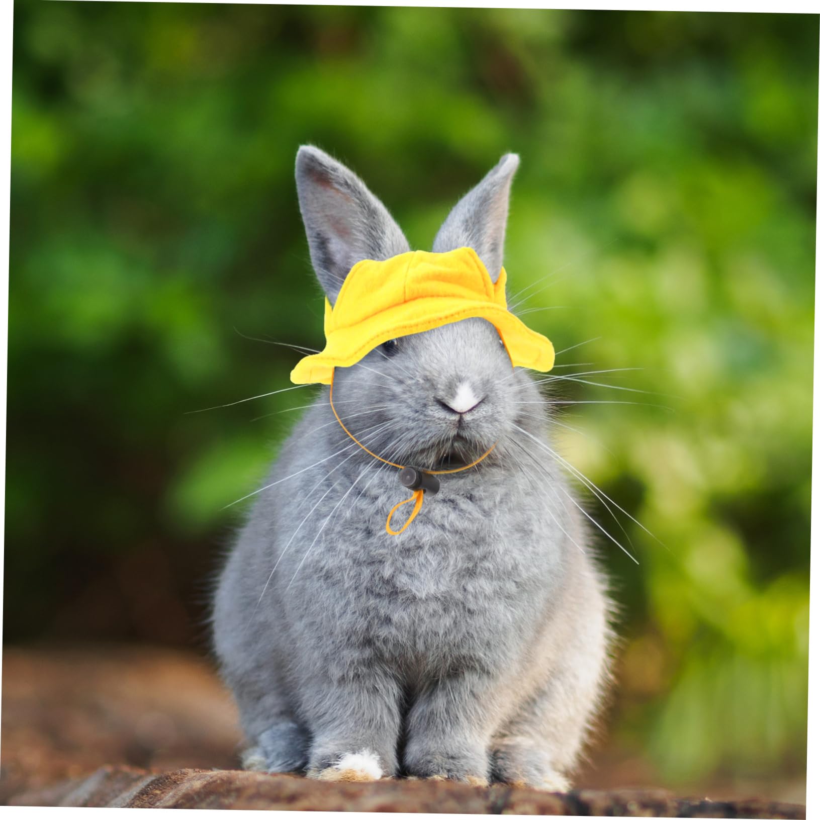 HEMOTON Mini Chapeau pour Lapin de Compagnie Jaune, Accessoire Léger en Tissu, Taille Unique, Adapté aux Fêtes et Séances Photo, pour Petits Animaux de Compagnie