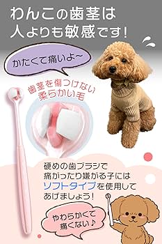 犬と猫のロッキングプレート　裁断済み 犬と猫のロッキングプレート (-原理・器具・適用例の最新情報