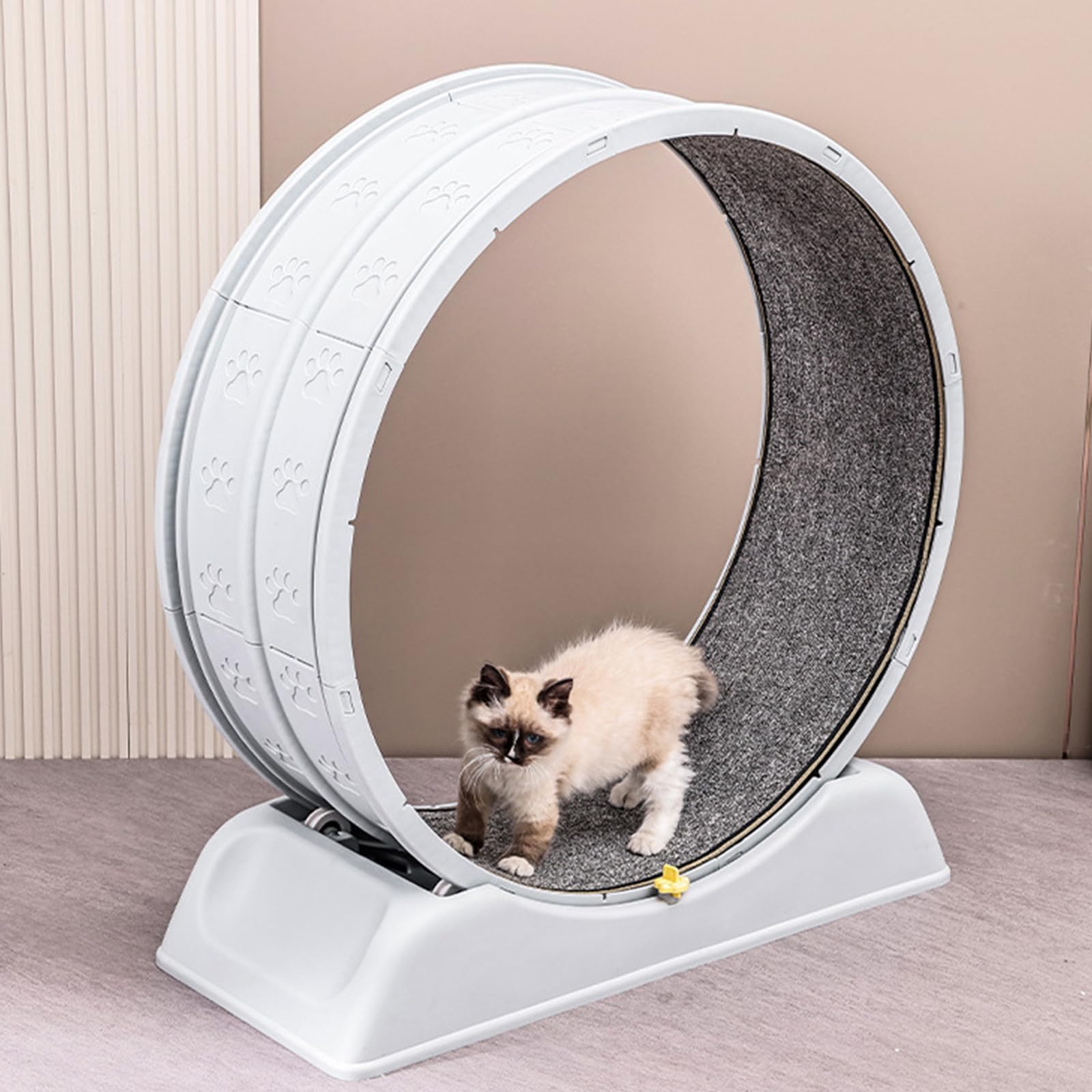 Cat Exercise Wheel, Large Cat Treadmill Wheel for Indoor Cats,Exercise Running Wheel with Carpeted Runway and Lock for Indoor Cats
