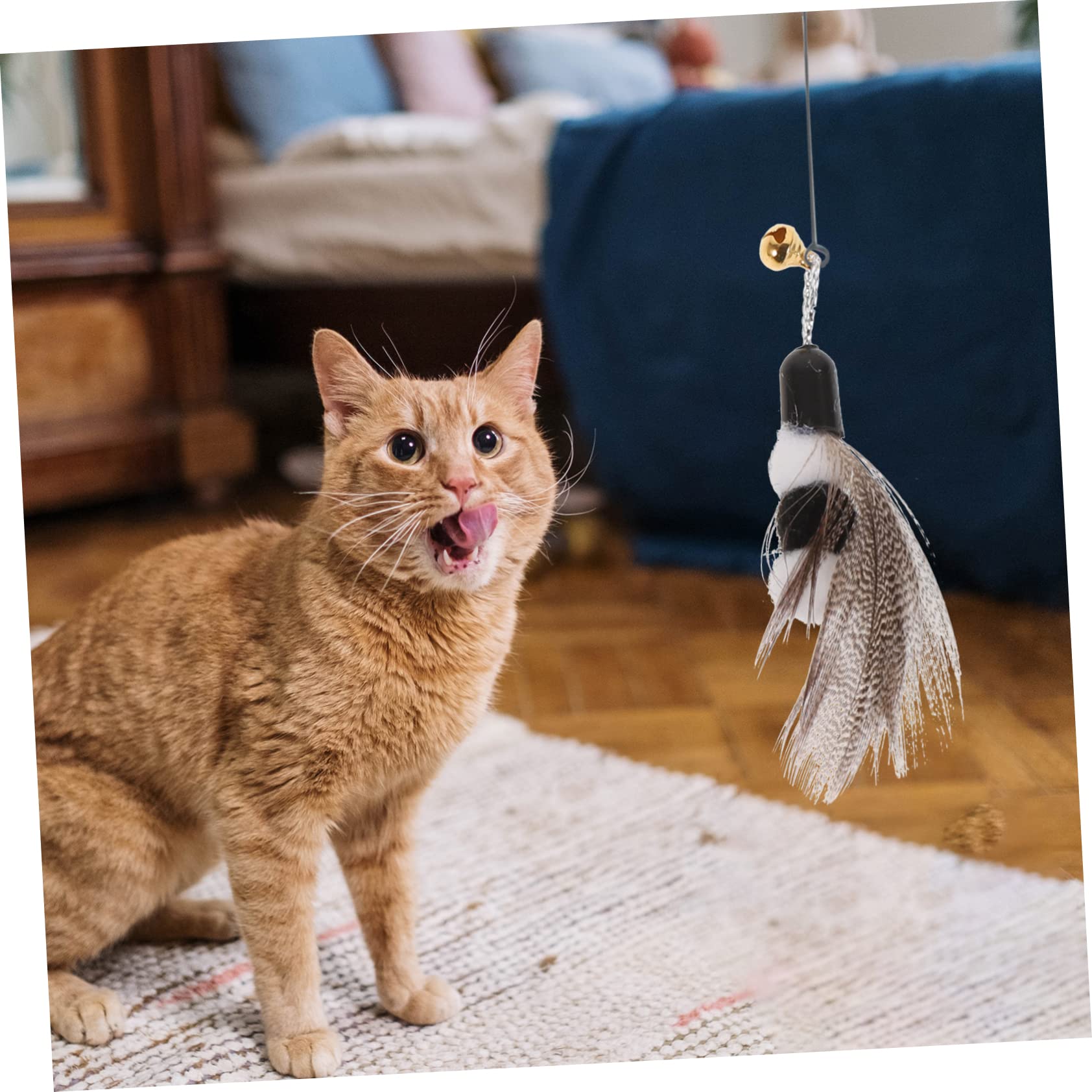 Yardwe 30stücke Katzenspielzeug Mit Ersatzköpfen Interaktive Katzenangel Mit Federn Und Insekten Fördert Die Und Interaktivität Für Drinnen