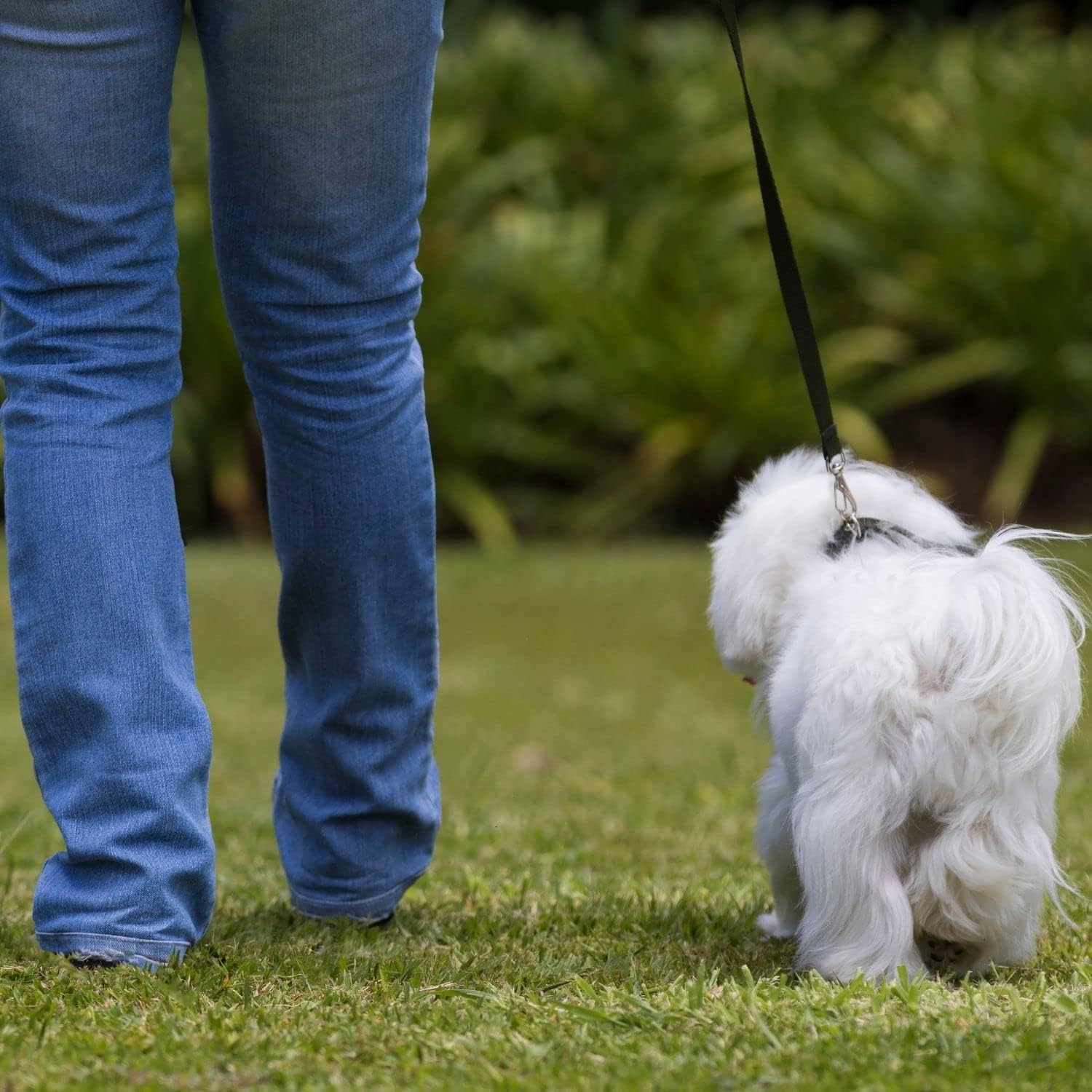 Consentida Harness for Large Dogs T4-42 - 70 x 2.5 cm - Made of Nylon - Mosaic Design - Size XL - Very Resistant and Comfortable - Accessories for Dogs 7