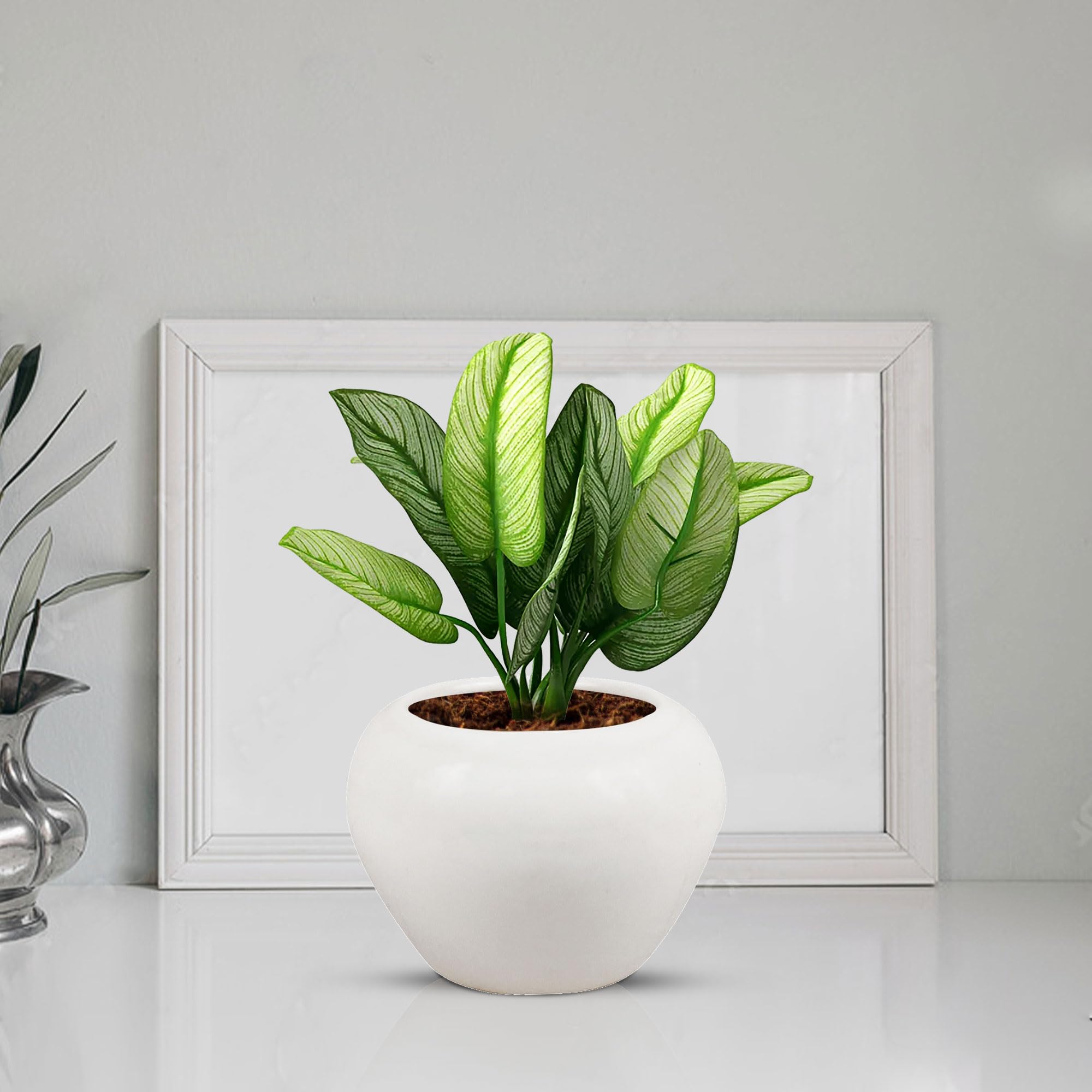 Lasaki Cloud Apple Medium White Ceramic Pots for Indoor Plants, Planters, Flower, Pots, gamla,Outdoor,Balcony,Home,Round,Garden, Office Decor,Succulent(H - 9.5 X D - 14 cm)(Plants not Included) (B0C7BQ9LT1) Amazon Price History, Amazon Price Tracker