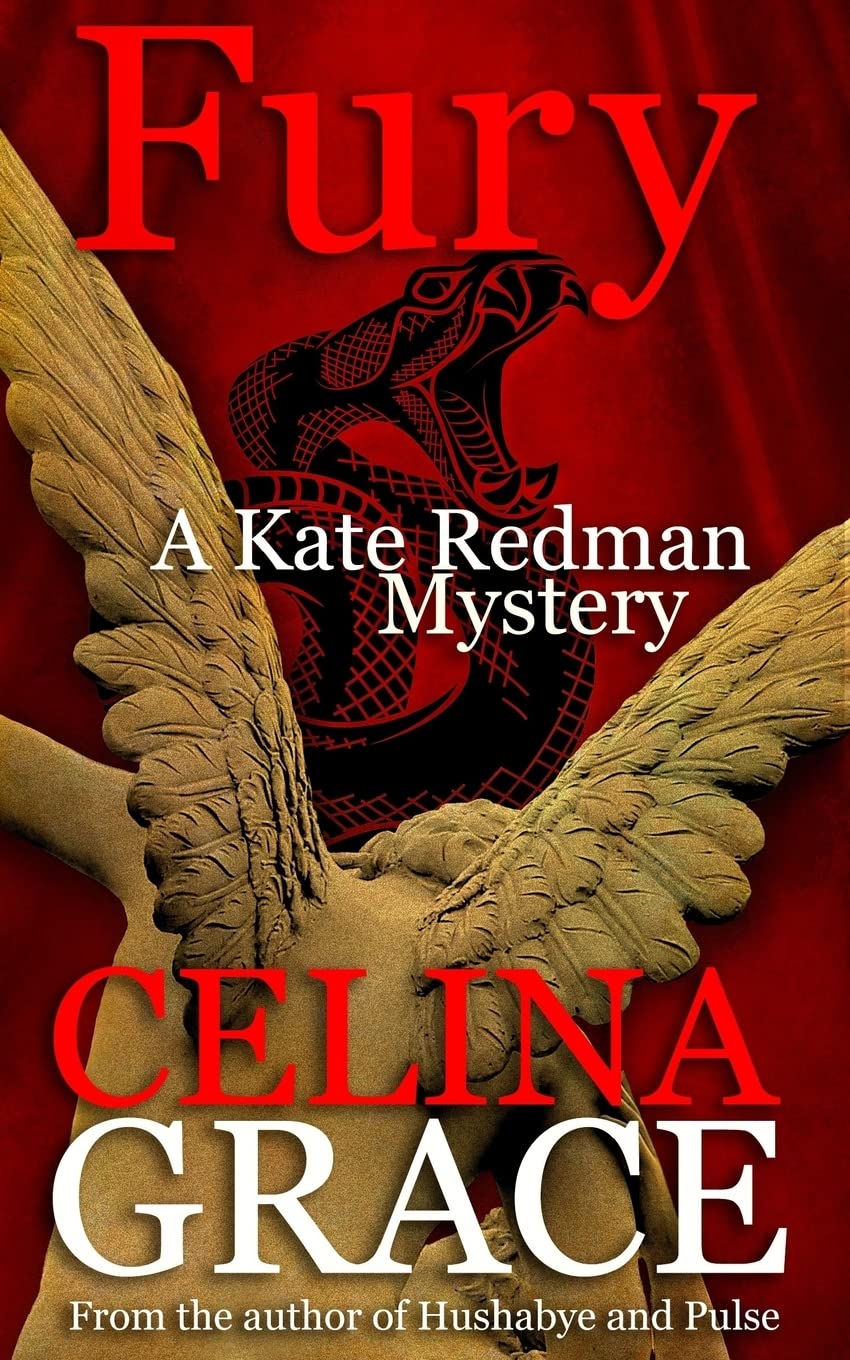 Fury: (A Kate Redman Mystery: Book 11): Volume 11 (The Kate Redman Mysteries)