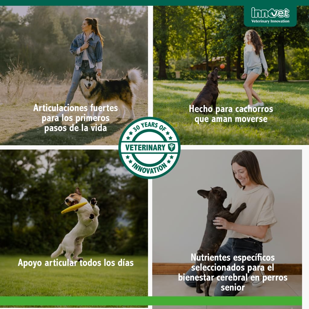 Innovet Condrogen Puppy Condroprotector Perros Cachorros 60 Comprimidos | Articulaciones Fuertes Durante el Crecimiento con Glucosamina Condroitina – Nutre el Cartílago Para Razas Grandes y Gigantes