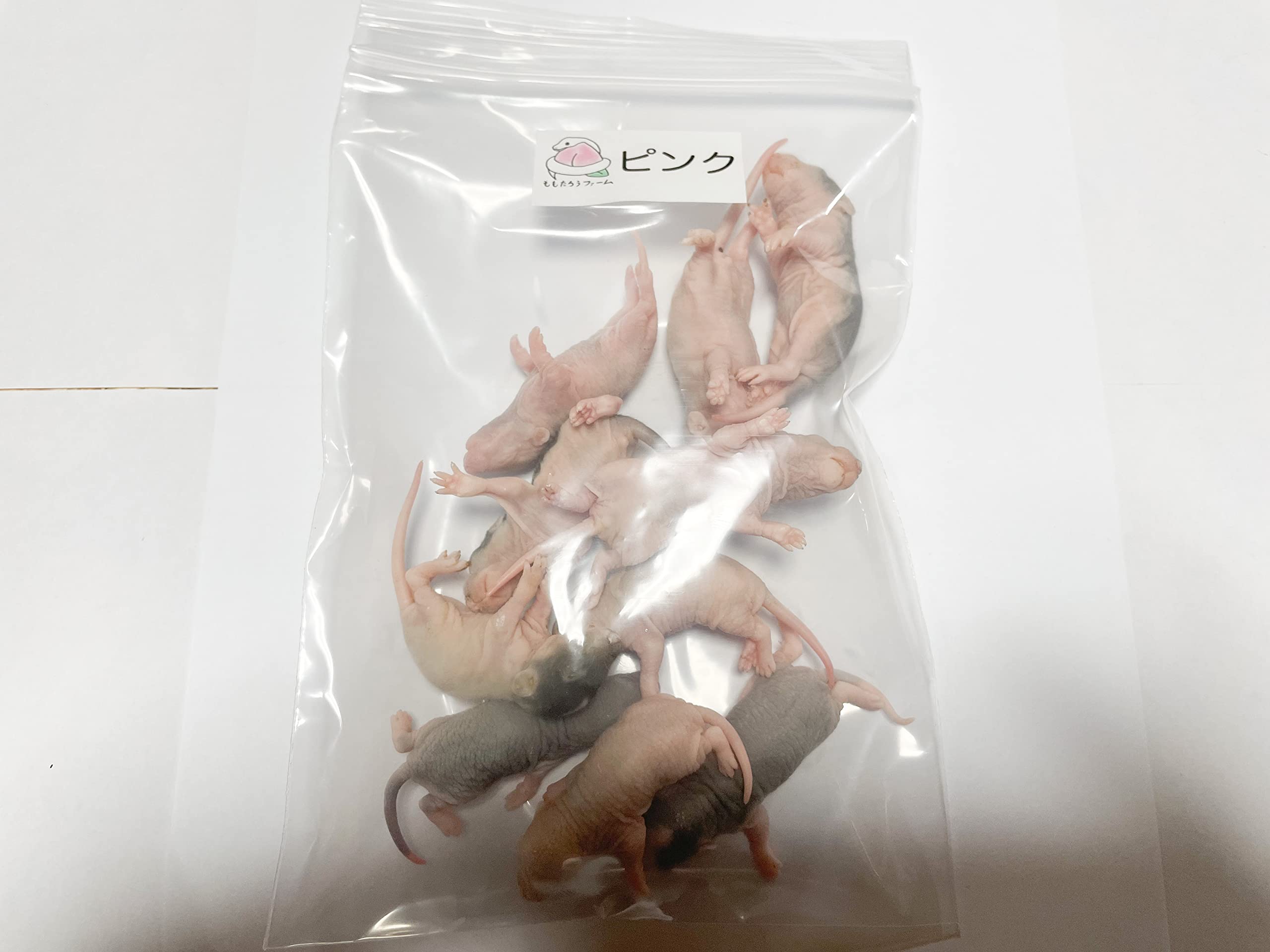 国産極上冷凍ラットセット Amazon | 国産冷凍ラット (ピンクラット 4~9g 5匹入り) | 冷凍