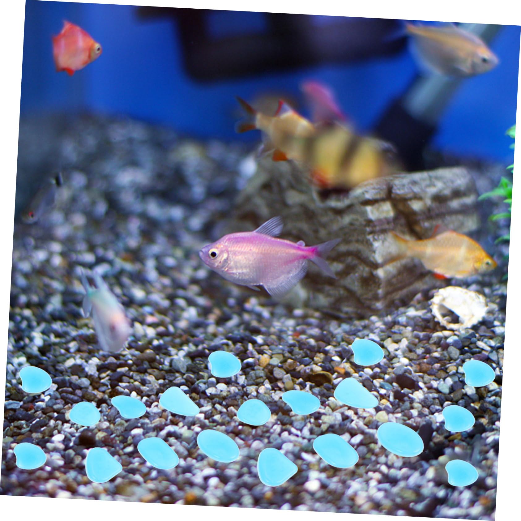 POPETPOP 3 Ensembles Bleu Galet Pierres D'Aquarium Réservoirs De Poissons Tube À Bulles Roches De Réservoir De Poissons Tremplin Sol Plante en Pot Test Aquarium Décoration 300 pièces * 3