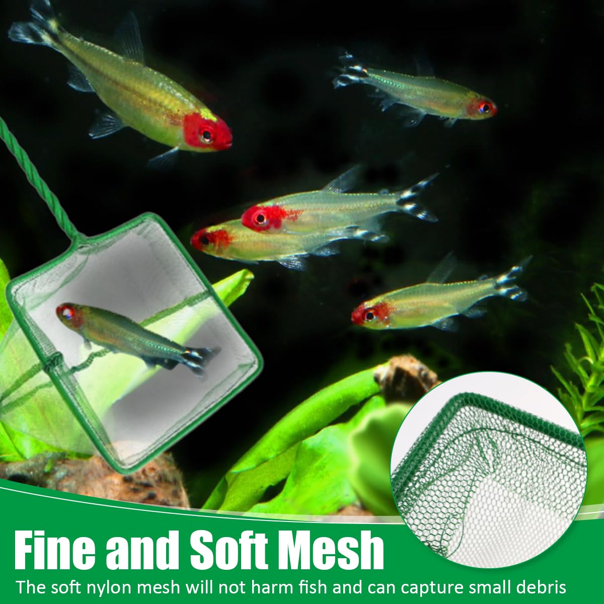 3 Stück Kescher Aquarium Klein, 3 Zoll Aquarium Fischnetz mit Geflochtenem Metallgriff, Winziger Aquarienkescher aus Reißfestem Nylon, für Kleine Teiche Fangen von Kleinen Fischen und zur Reinigung
