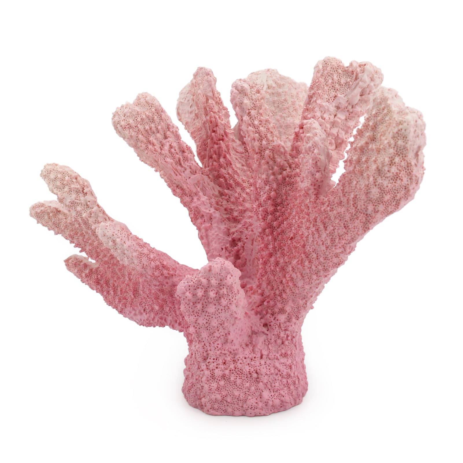 ピンクコーラル 置物 約30cm Amazon.com: Afadorable Resin Coral Decor Beach Decorations for