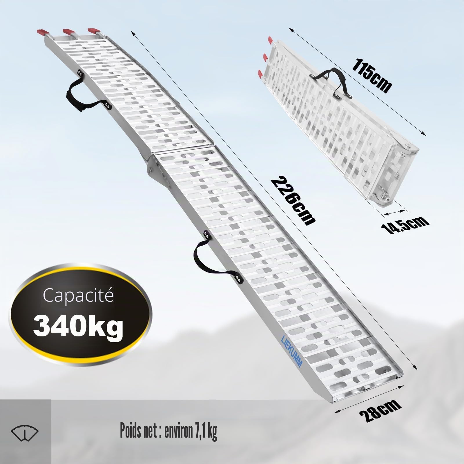LIEKUMM Rampe de Chargement, 222,5cm Rampe d'accès, Capacité 340kg Rampe de Chargement Moto Pliable en Aluminium, 1 Pièce