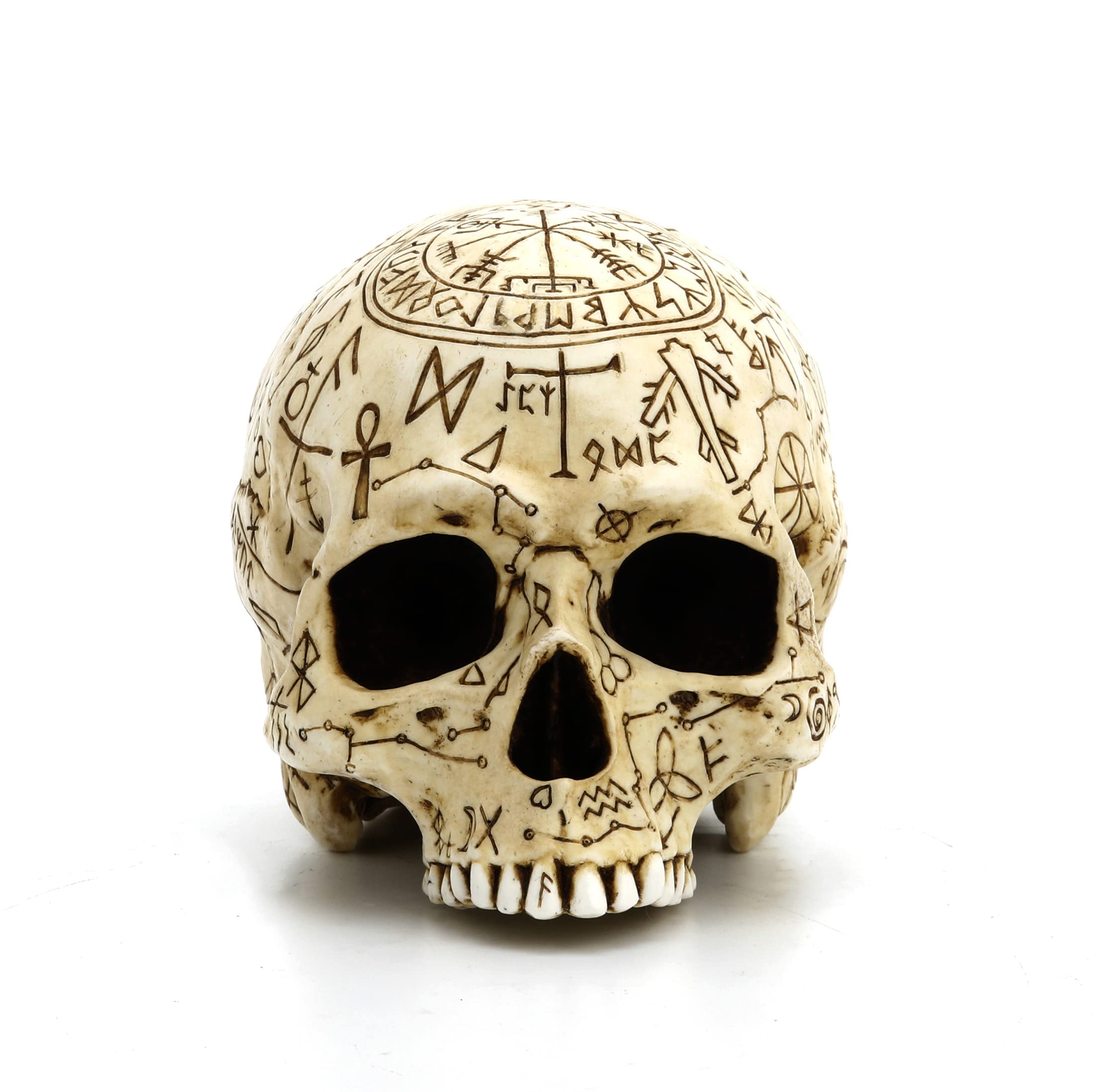 Amazon.co.jp: Veronese Design 5 1/4