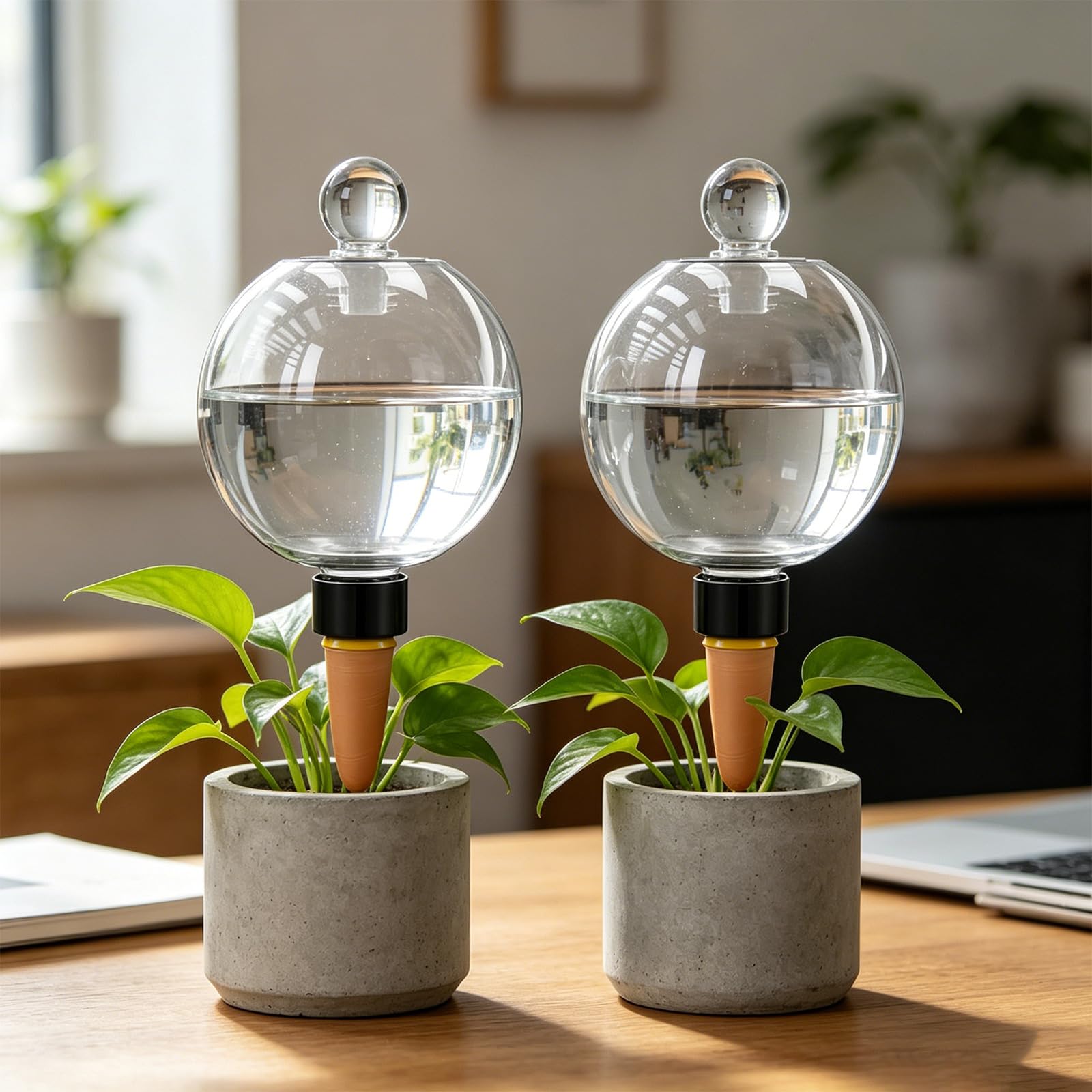Globi per irrigazione Automatica Adatti per Piante da Interno Lampadine per irrigazione Automatica per Piante capacità da 19 Oz con Tappo in Vetro Globi Trasparenti