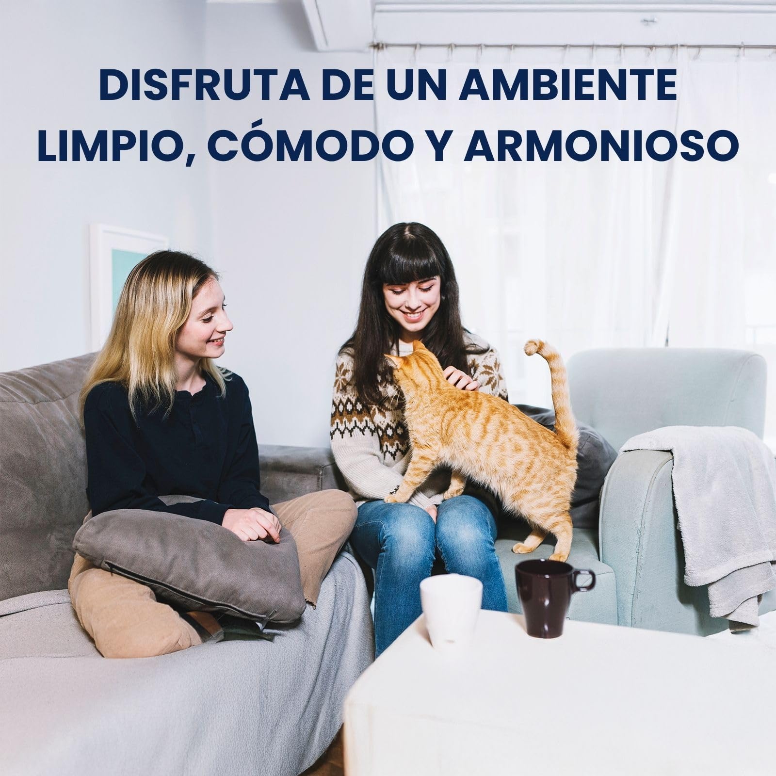Plantawa Limpiador Enzimático Orina Gatos 4L | Neutralizador de Olores Gatos y Anti Pis Gato | Elimina Heces, Vómito y Chaolor Urina Mascotas | Textiles y Muebles