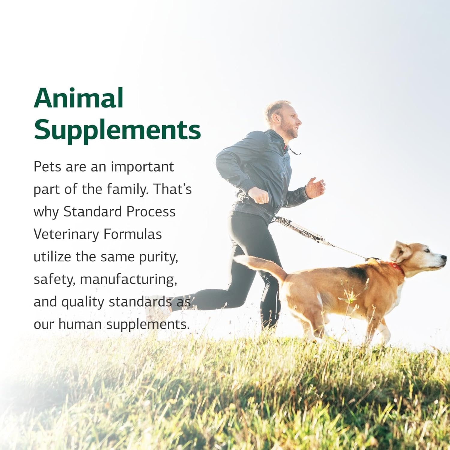Standard Process Inc. Feline Whole Body Support - Nutritional Cat Supplement for Multisystem Support - Feline Daily Maintenance Supplement - 90 Tablets