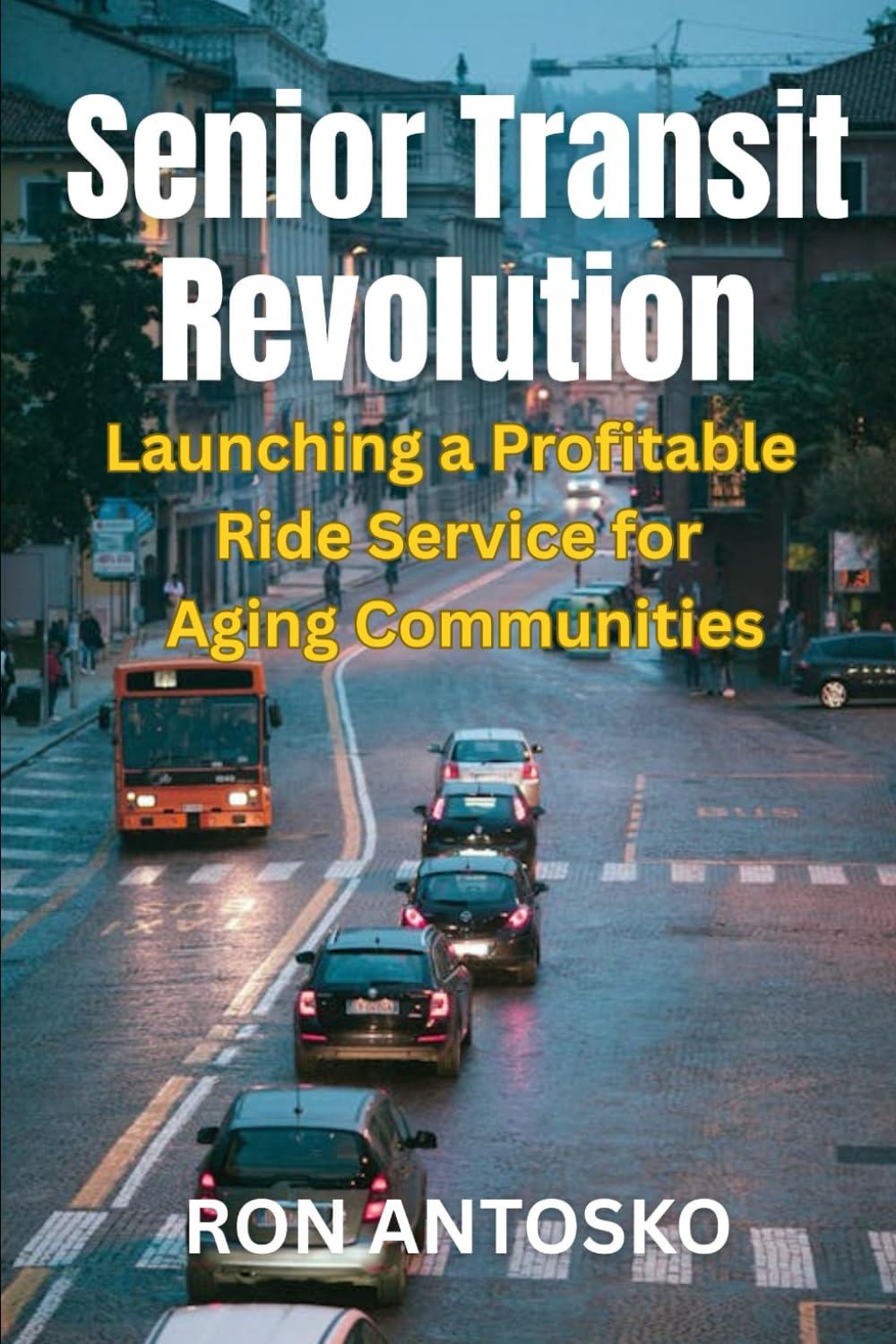 Senior Transit Revolution: Launching a Profitable Ride Service for Aging Communities