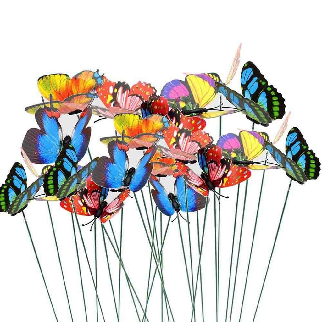 American Specialty Strawberry Firepit Glass Medium 10 Lb Bag