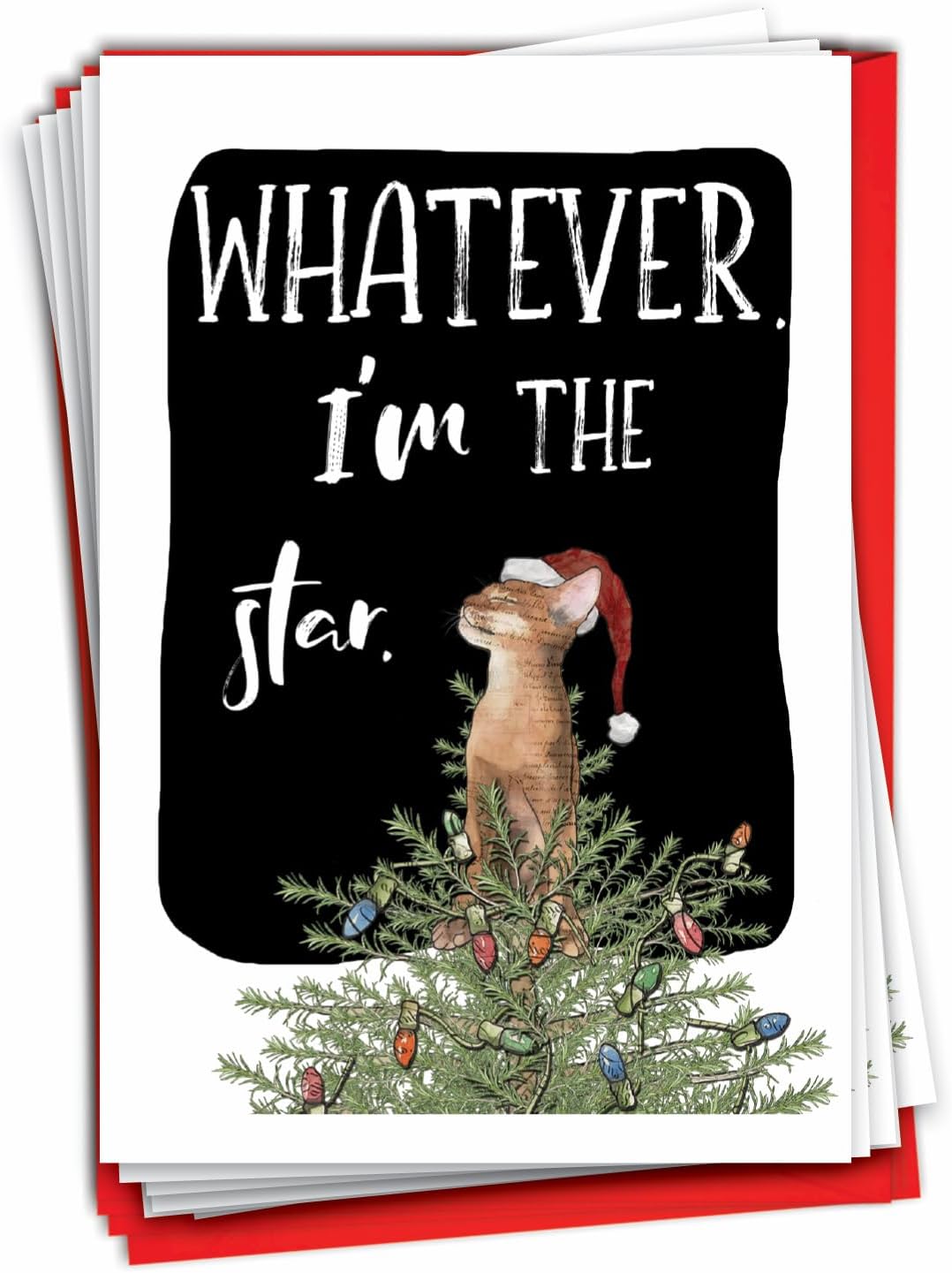 NobleWorks - 12 Funny Animal Christmas Cards - Pet Holiday Humor, Bulk Boxed Notecards with Envelopes (1 Design, 12 Cards) - Cat Star C3465XSG-B12x1