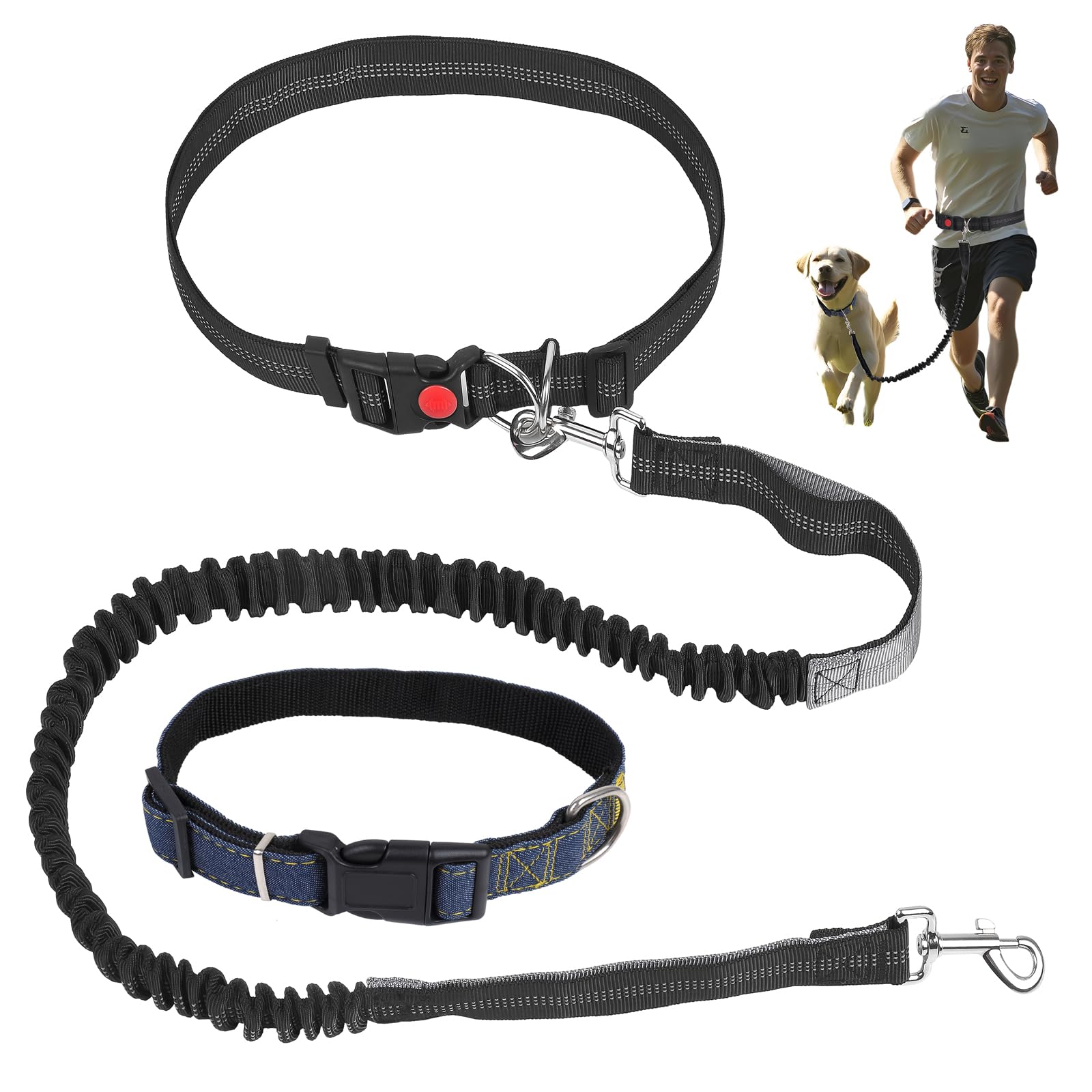 Hands Free Dog Lead with Collar: Bungee Waist Leash,Dog Running Belt,Pet Collar,Adjustable Shock Absorption,For Medium and Large Dogs,Suitable for Walking Hiking