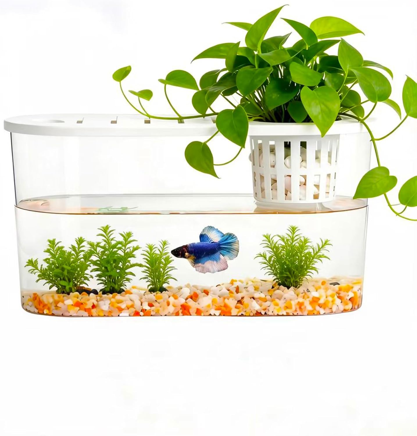 1.2 Gallon Betta Fish Tank, Desktop Aquarium with Lid & Plant Basket, Shatterproof Plastic Fish Bowl for Home Office Dorm Decor