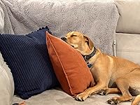 Review Image by Amazon Customer Amazon Customer