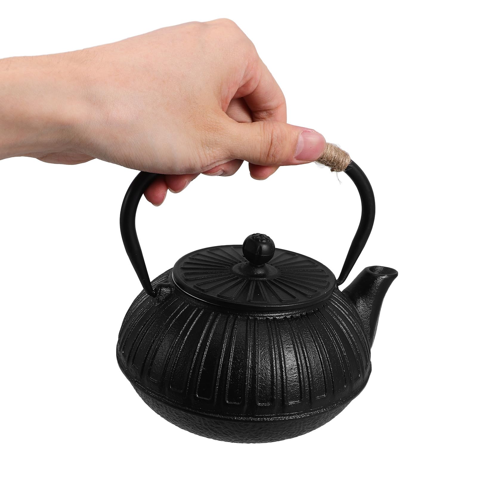 DECHOUS Tetera de Hierro Fundido Estilo Japonés Infusor y Capacidad de 600ml, Adecuado para Hervir Agua en Sala de Té y Compartir Amigos