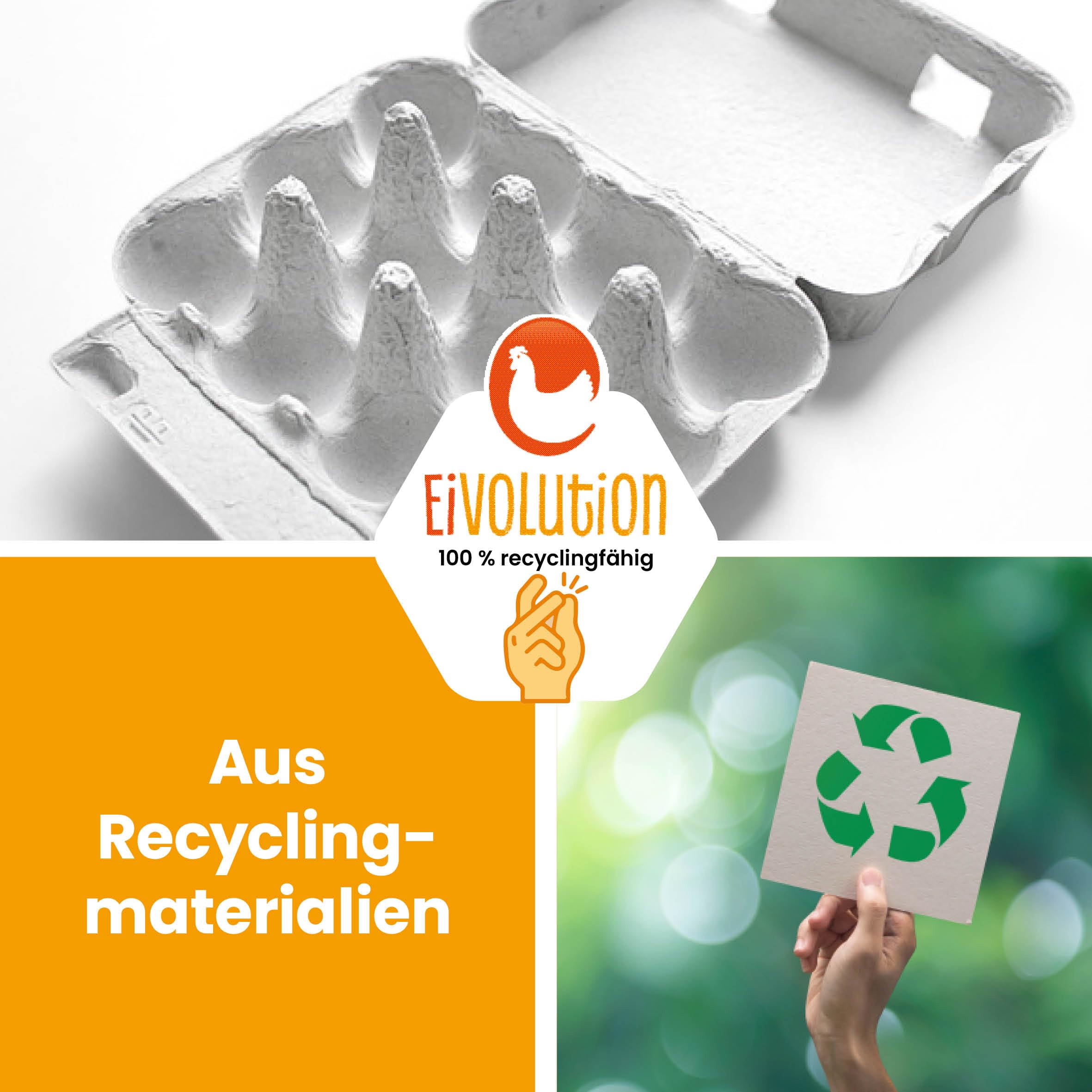12er Wachteleierschachteln aus Pappe - 30 Stück - Eierkartons für Wachteleier aus Recycling Material