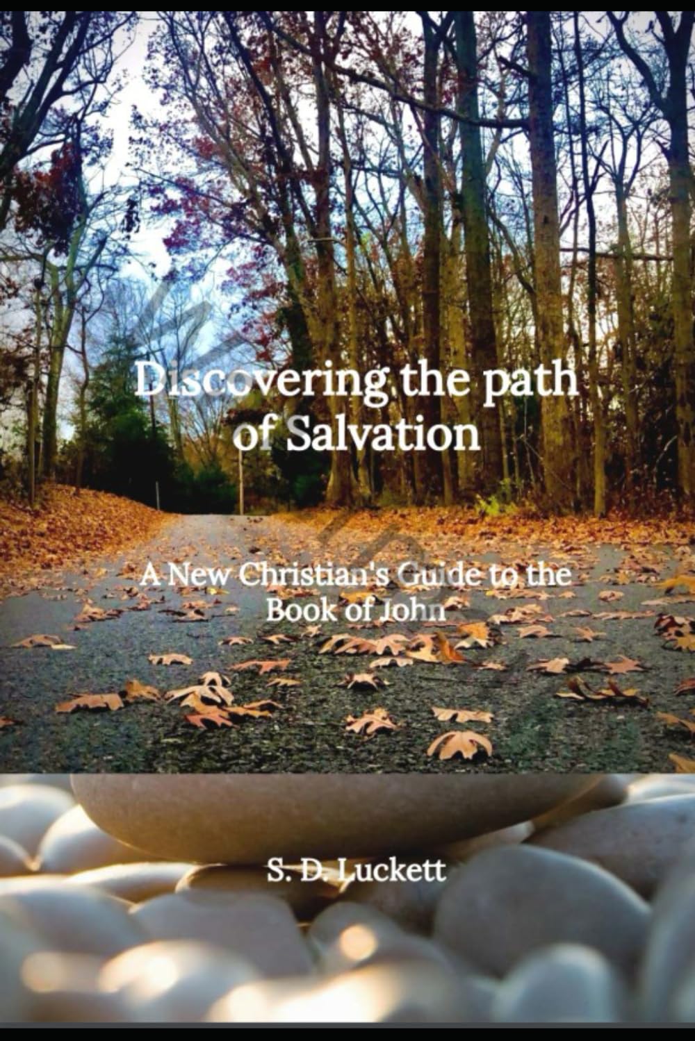 Discovering the Path of Salvation: A New Christian's Guide to the Book of John