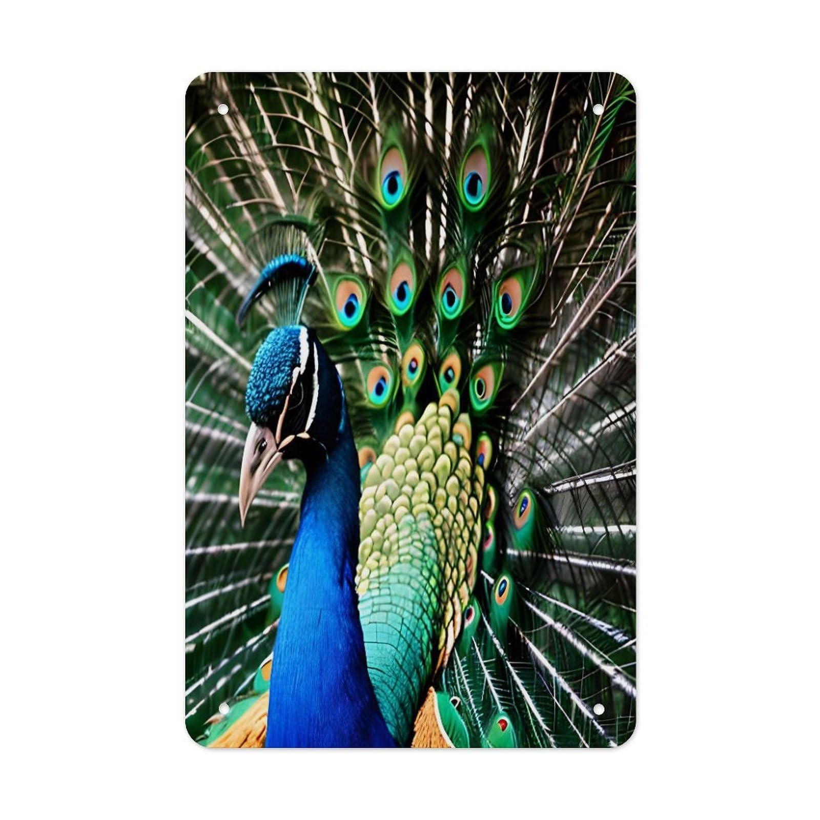 VstaDank Peacock Metal Tin Signs Personalized Wall Art Prints Decoration Art Poster Funny Vintage Tin Sign Iron Sheet Painting Metal Signboard Decor Painting for Wall Decor