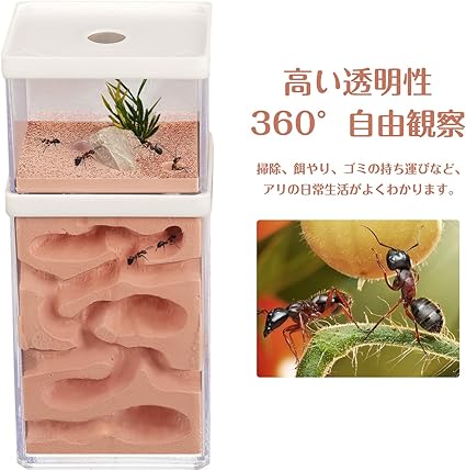 Aleawol アリの巣観察キット アリ飼育キット 蟻の巣観察キット アリの巣 石膏製巣箱 2層式 透明なプラスチックアリの巣 蟻用飼育ケース アリ飼育箱 昆虫 自由研究 生物実験 科学実験 観察日記 自然 生物 教育玩具 蟻なし Aleawol Aleawol アリの巣観察キット アリ飼育キット 蟻の巣観察キット アリの巣 石膏製巣箱 2層式 透明なプラスチックアリの巣 蟻用飼育ケース アリ飼育箱 昆虫 自由研究 生物実験 科学実験 観察日記 自然 生物 教育玩具 蟻なし Aleawol