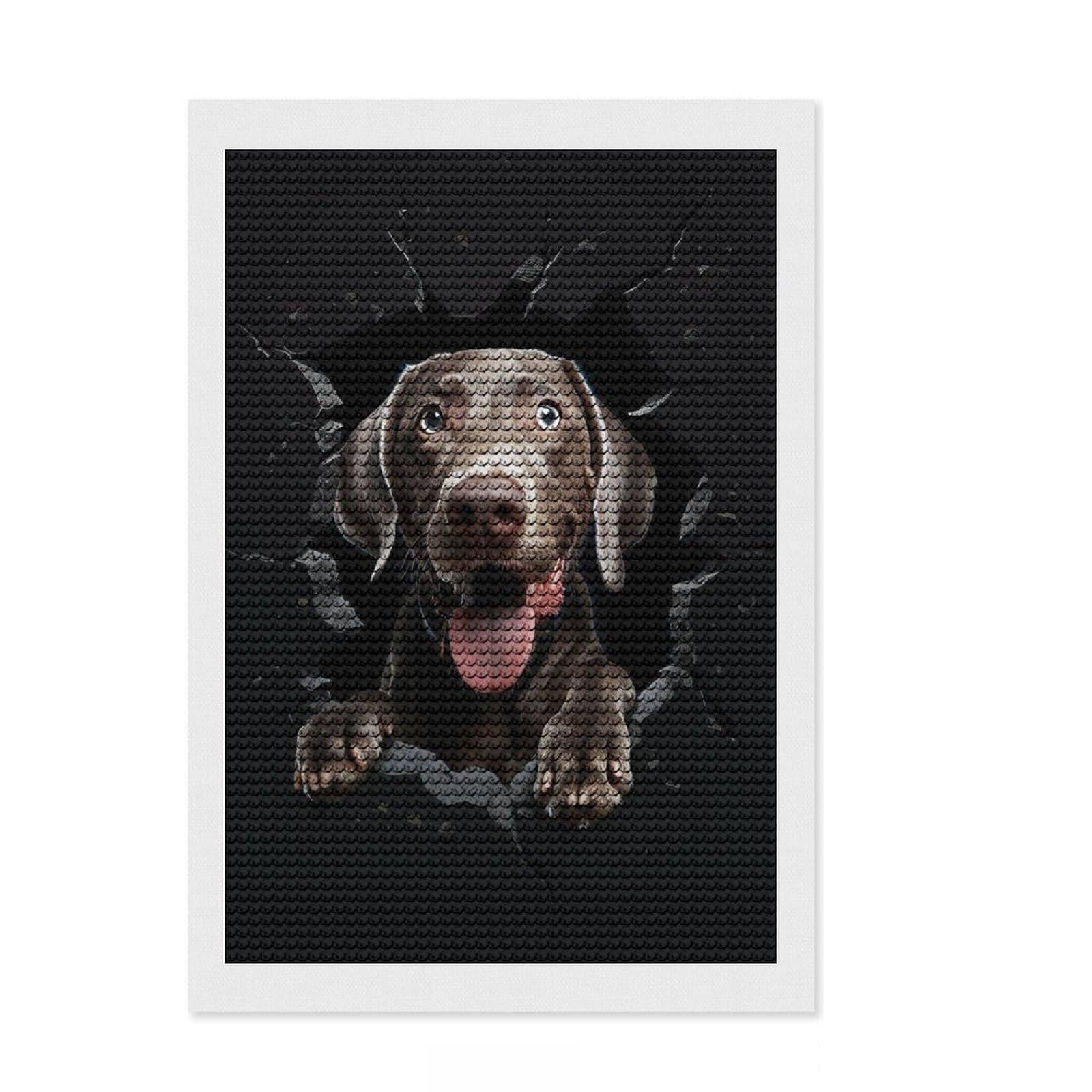 Junmoney Weimaraner Diamond Painting Kit 8"x12", Printed Canvas, Neat Printed Canvas, Farmhouse Decor, Christmas Gift, Adhesive Canvas