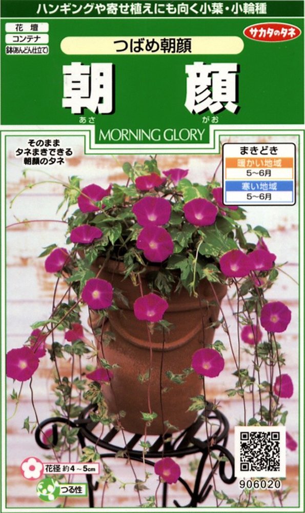 Amazon | サカタのタネ 実咲花6020 朝顔 つばめ朝顔 00906020 | 花
