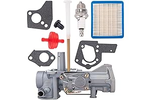 498298 Carburetor for Briggs and Stratton Carburetor with 491588S Air Filter