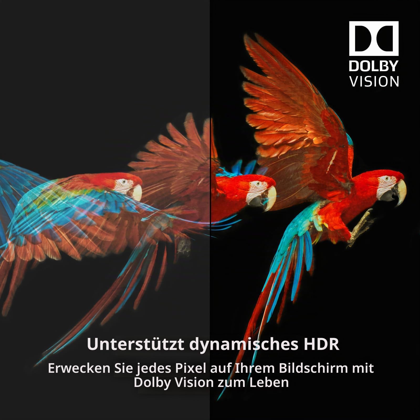 Belkin Ultra HD-Highspeed-HDMI-Kabel (2018, 2 m-4K-HDMI-Kabel, unterstützt 4K/120 Hz und 8K/60 Hz, Dolby Vision-/HDR 10-kompatibel, 48 Gbit/s)