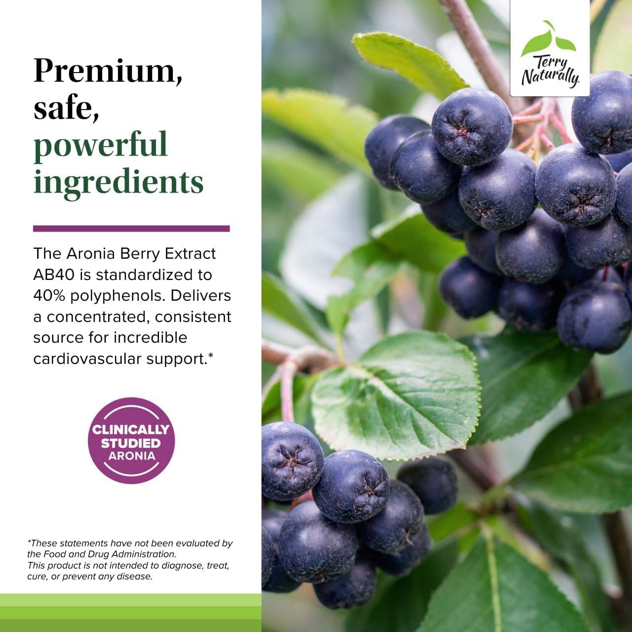 Terry Naturally Aronia Berry Complex - Antioxidant Support Supplement with Grape Seed Extract - Dietary Supplement Formula to Support Healthy Heart Function - 60 Capsules (60 Servings)