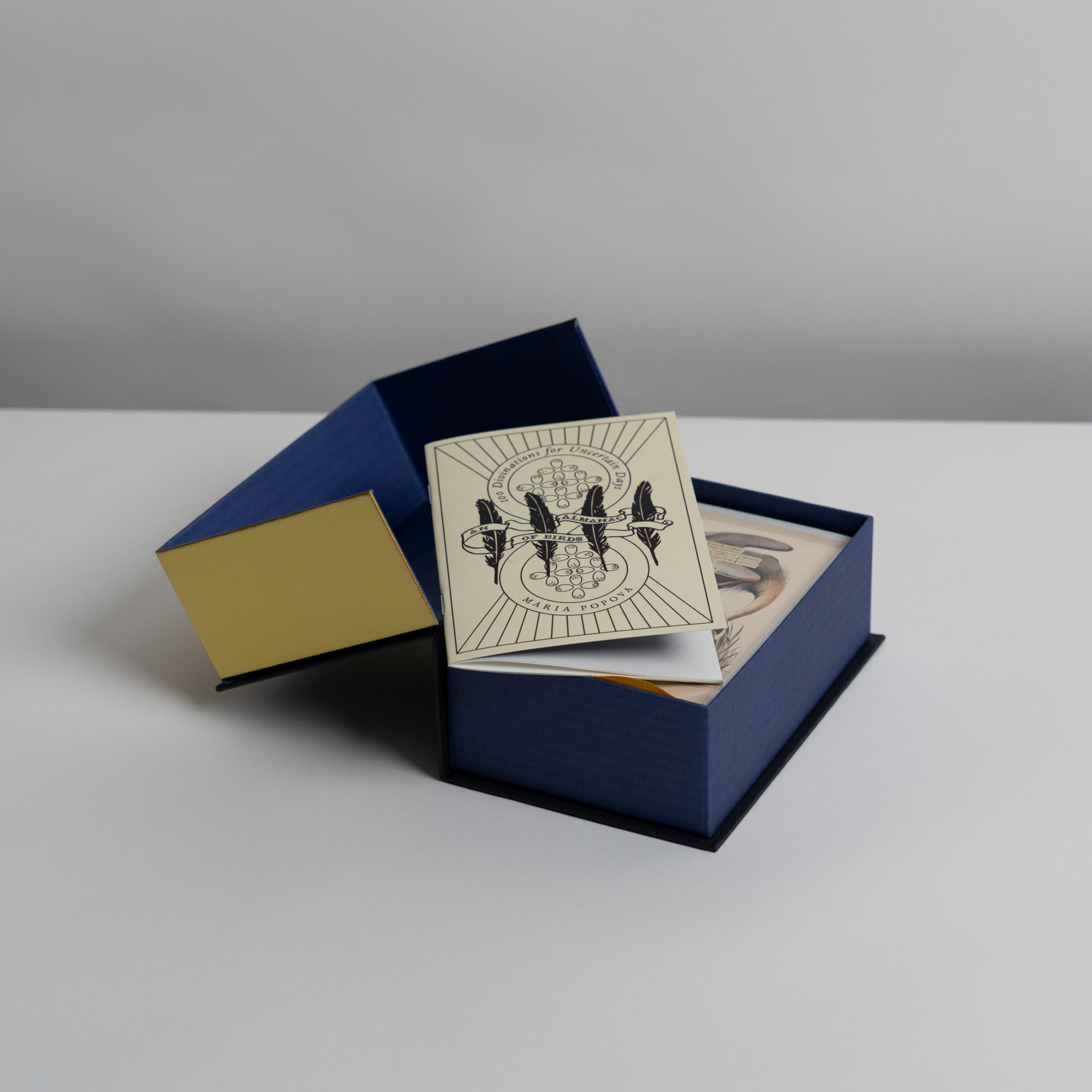 An Almanac of Birds: 100 Divinations for Uncertain Days