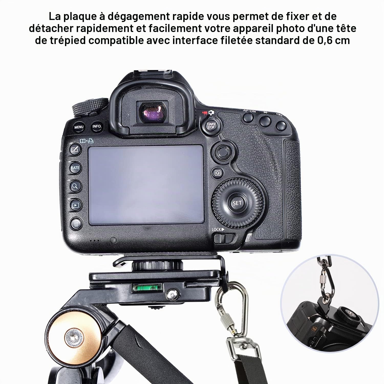 Courroie d'appareil photo Harnais d'accessoires d'appareil photo numérique à dégagement rapide Courroie d'épaule double réglable et amovible pour appareils photo reflex numériques