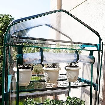SRL . MINI GREENHOUSE　グリーンハウス　ネイバーフッド ネイバーフッド - SRL . ミニ グリーンハウス | HBX - ハイプ
