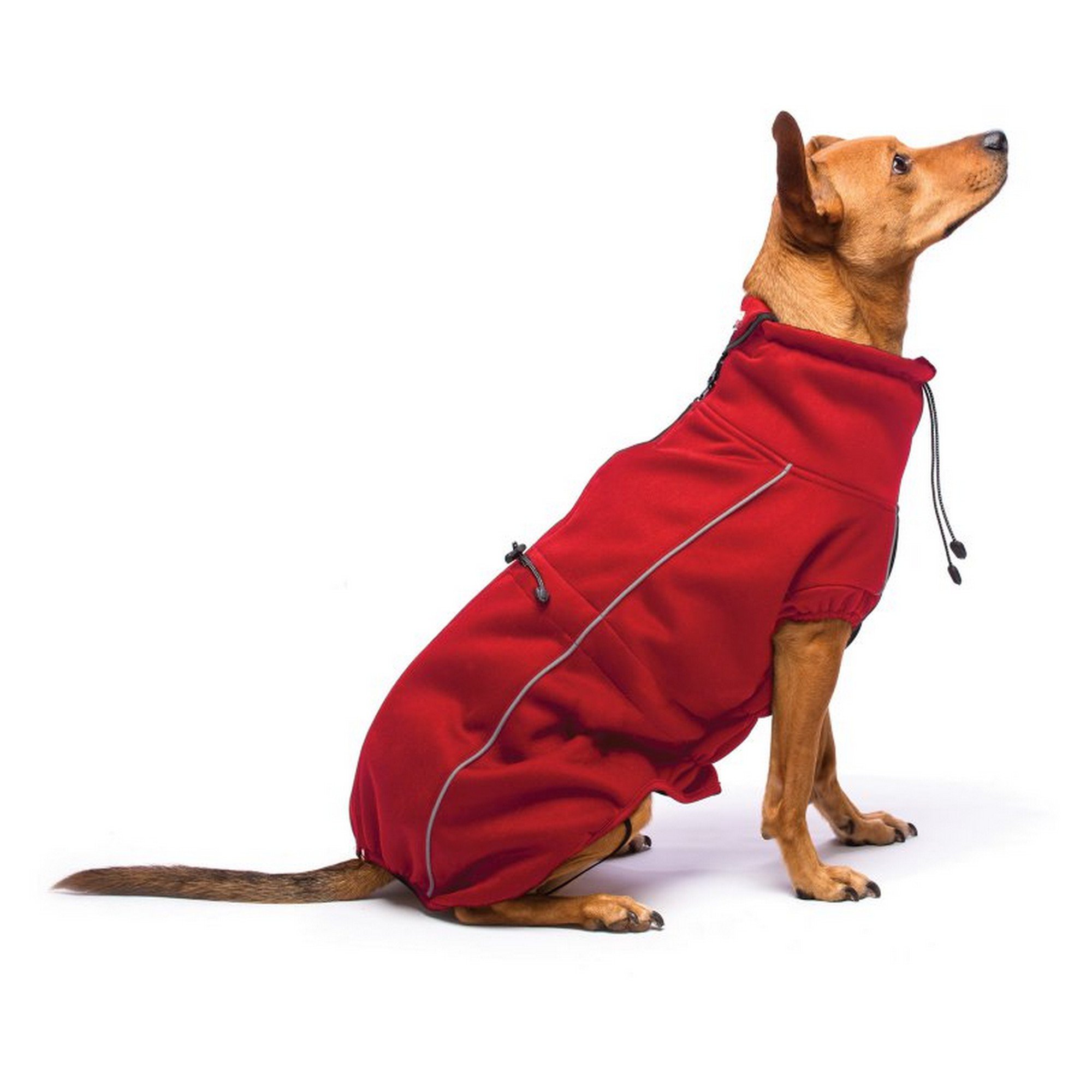 Dog Gone Smart Hundemantel, Softshell-Optik, 30,5 cm, Rot : Amazon.de:  Haustier