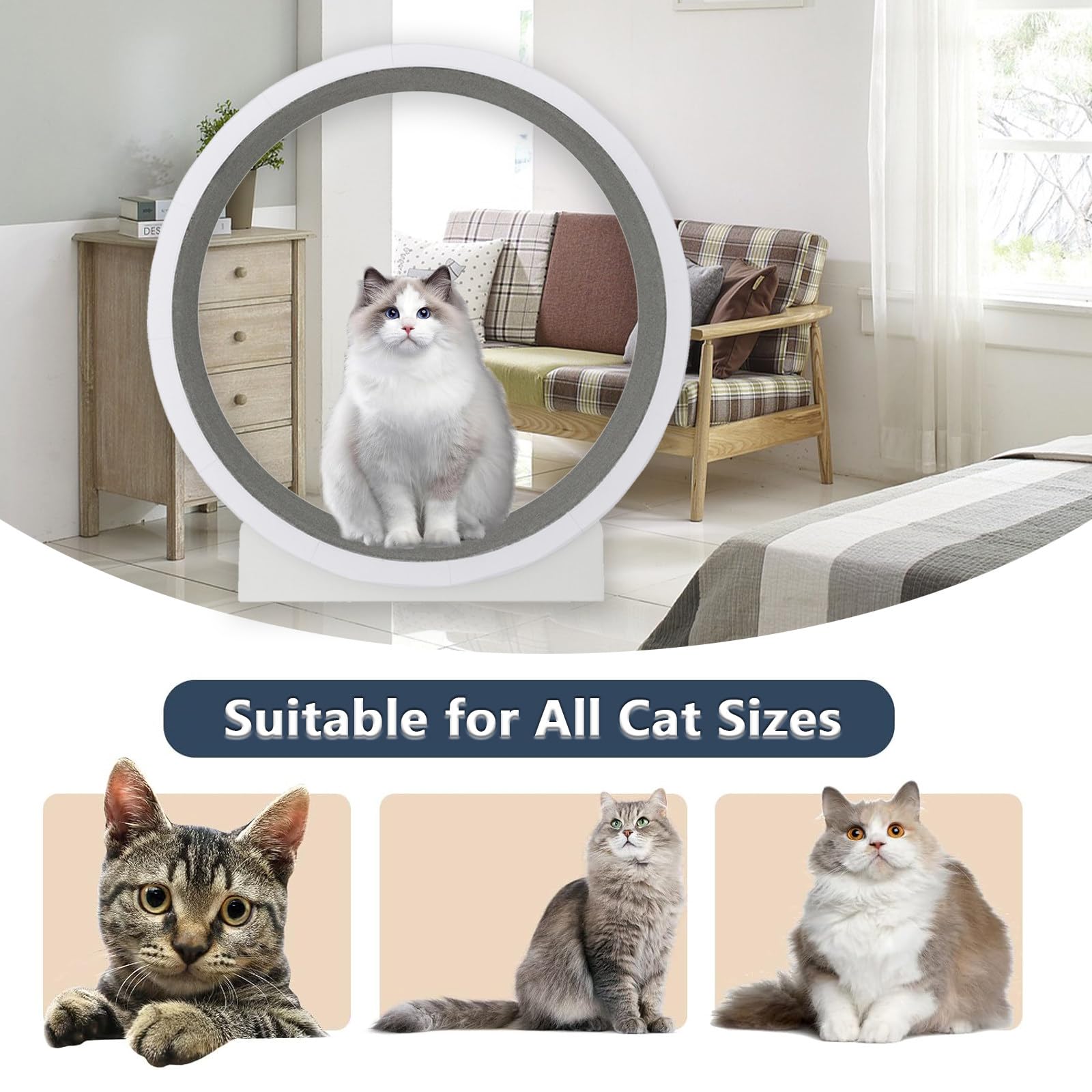 Rueda para Correr para gatos de 47 Pulgadas, Cinta de Correr para gatos con Pista alfombrada y Ruido ultrabajo, Ruedas para gatos fáciles de Instalar para gatos de Interior Fitness y Salud