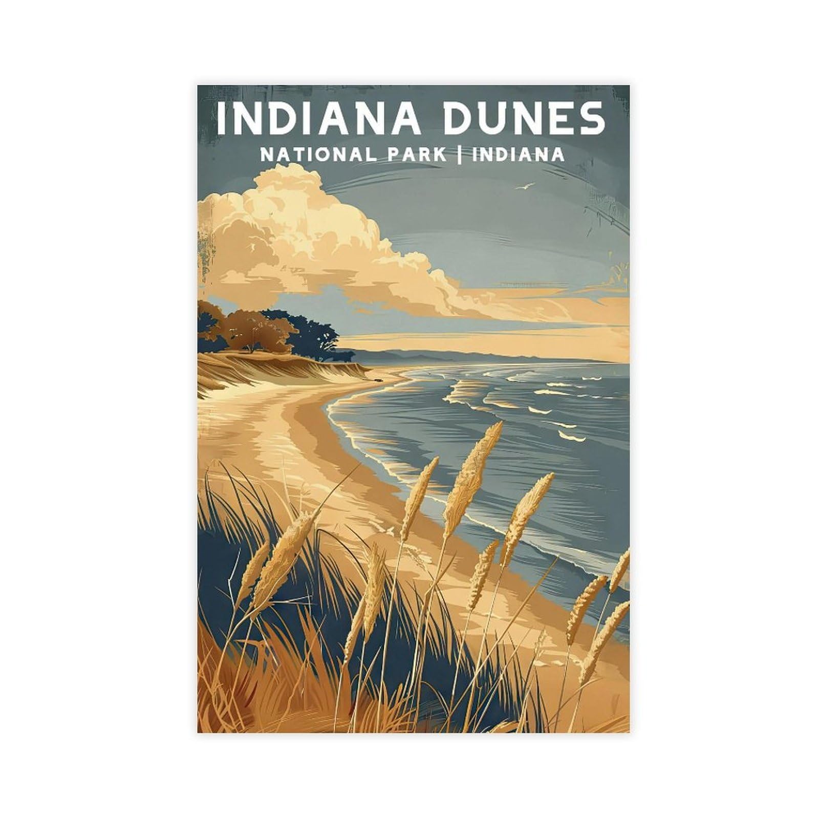 Bareronor Indiana Dunes Canvas Poster for Office Decor Gift
