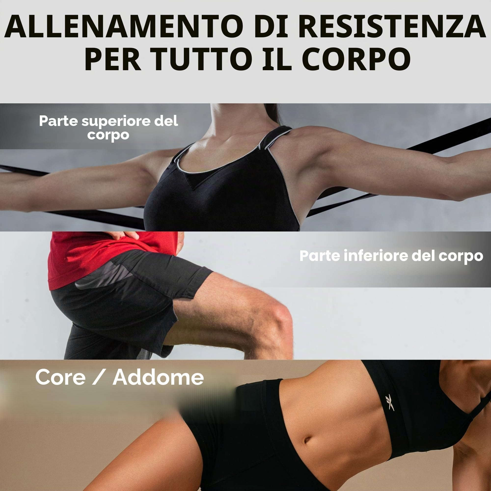 TheraBand Set da 1,50 m, Fascia da Fitness, Fascia Elastica per Allenamento del Corpo, Fascia di Resistenza, Fasce di Allenamento per la casa, Accessori per Il Fitness