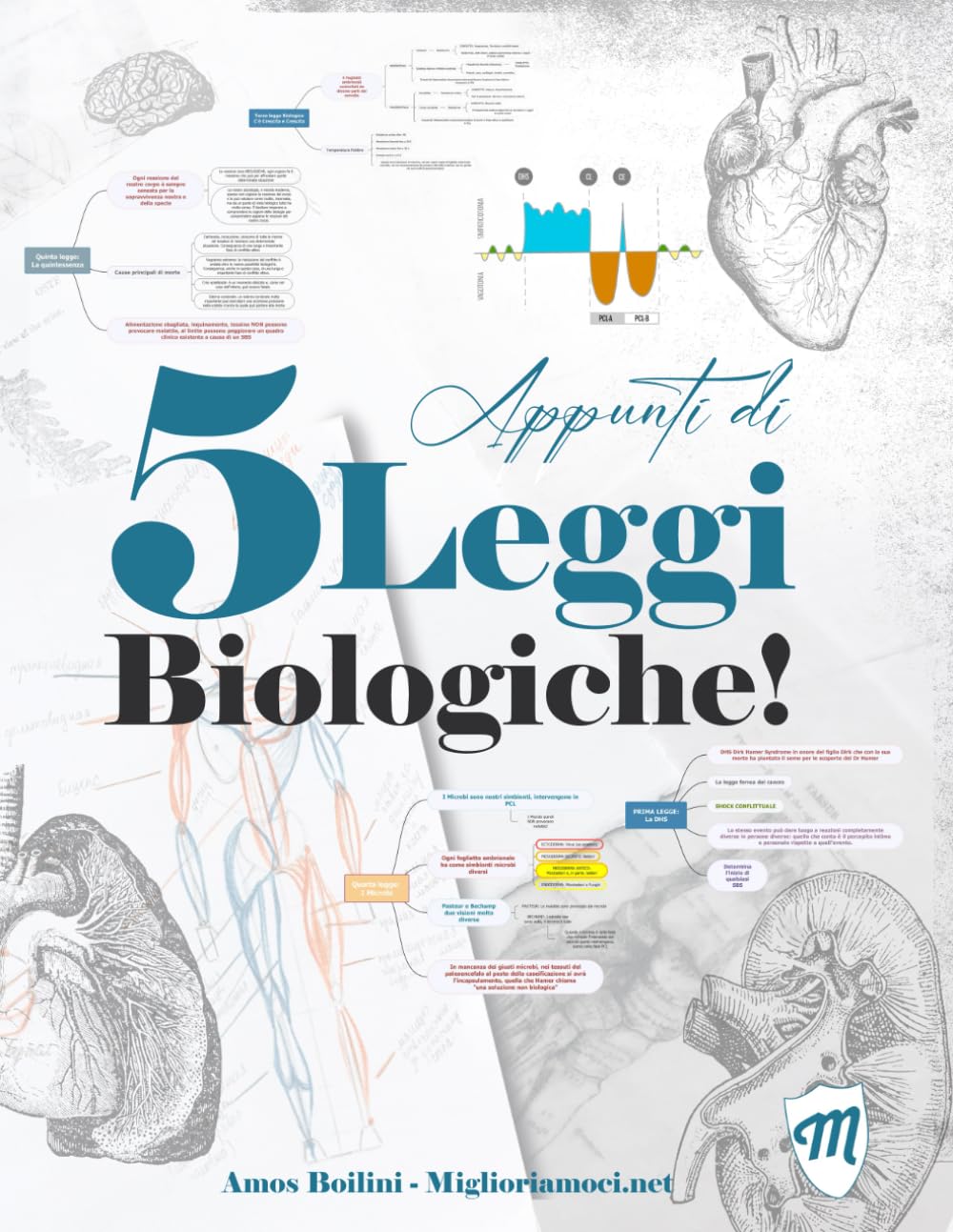Appunti di 5 Leggi Biologiche: Atlante grafico di Nuova Medicina Germanica