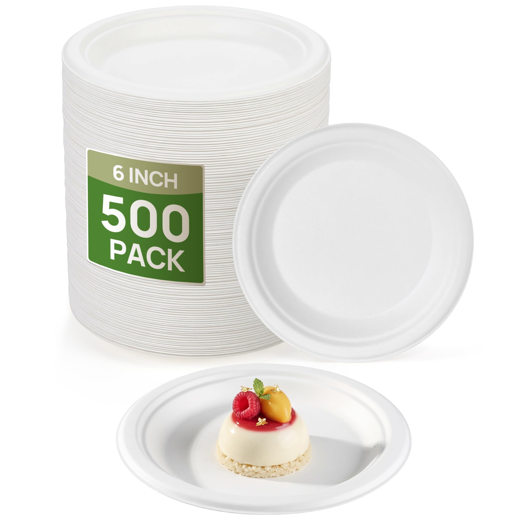 Compostable Sugarcane Plates - 500 Pack -12