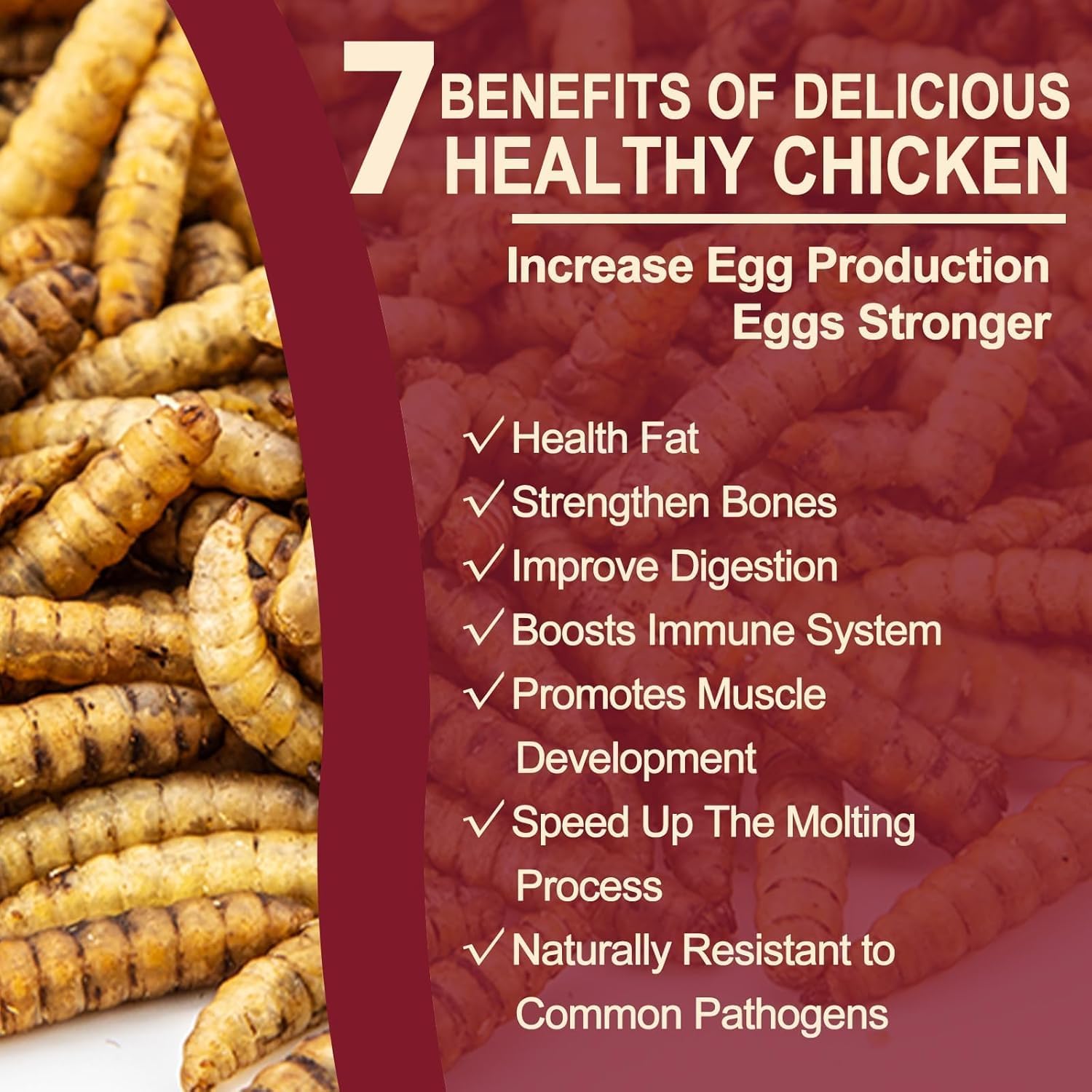 10LB Dried Black Soldier Fly Larvae for Chickens, Non GMO 86X More Calcium BSF Larvae Than Mealworms for Chickens & Birds, Natural Chicken Feed Bulk, Chicken Worms Treats, Wild Birdseed Attractant