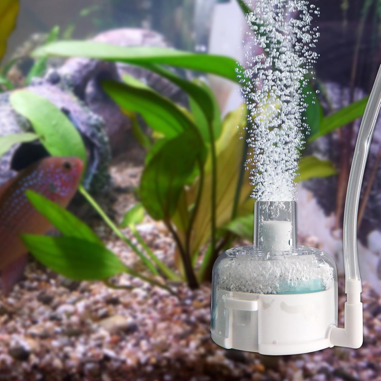Small Aquarium Sponge Filter, Small Fish Tank Filter & Mini Submersible Fish Filter Built-in Air Bubble Stone and Bio Sponge for Fish Tanks up to 5 Gallon (Air Pump Not Included)