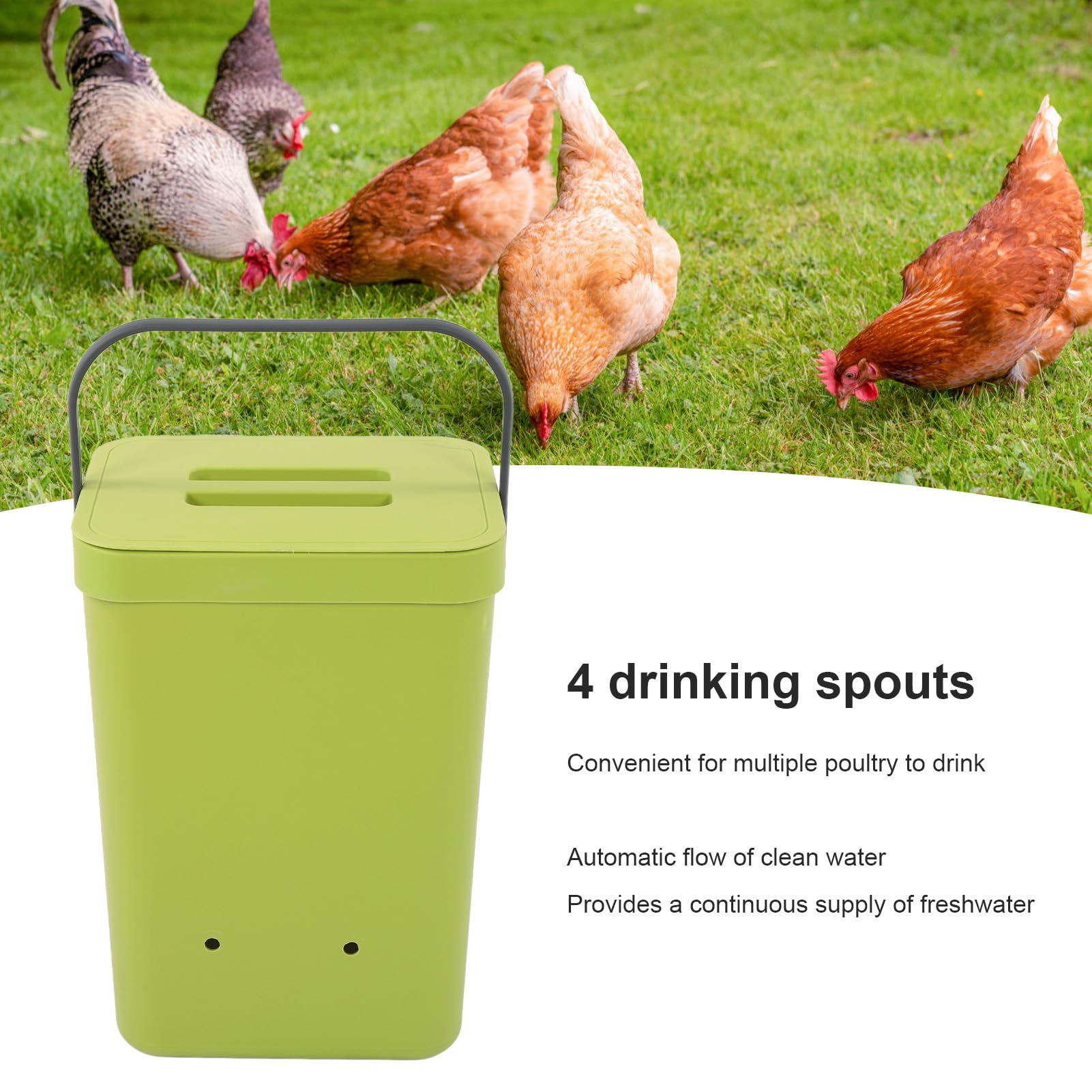 Abbeveratoio per Pollo con 4 ugelli, Abbeveratoio Automatico per Capezzoli per Pollame da 12 Litri, Abbeveratoio Automatico per Pollame in plastica per l'alimentazione del