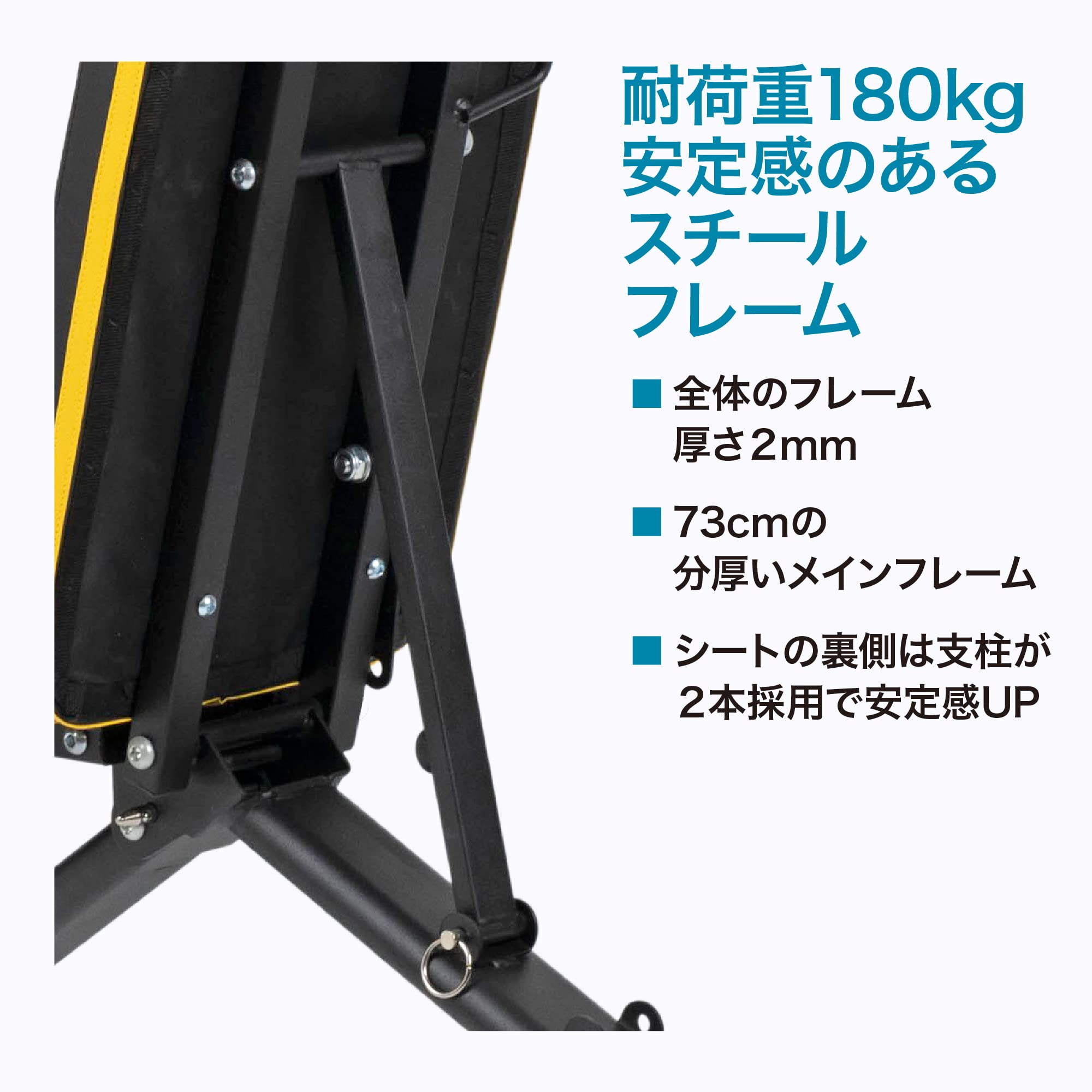 Amazon.co.jp: ボディテック(Bodytech) マルチインクラインベンチ