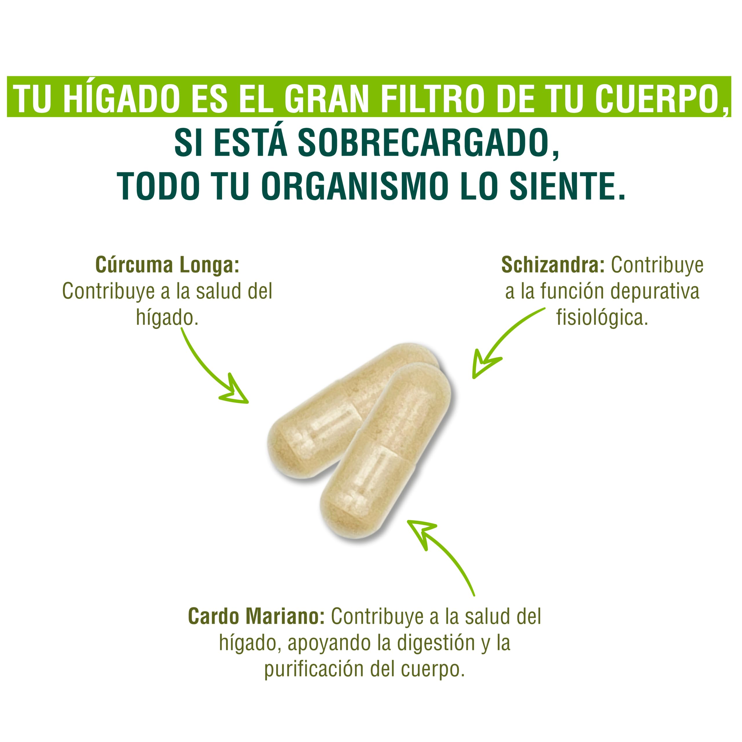 Adaptoheal Liverheal - Adaptogenos para el Hígado - Cardio Mariano + Curcuma + Rhodiola Rosea + Ginseng Rojo Coreano Puro + Reishi - Apoyo para Higado - Vegano, Sin Gluten - 90 Cápsulas (Paquete de 2)