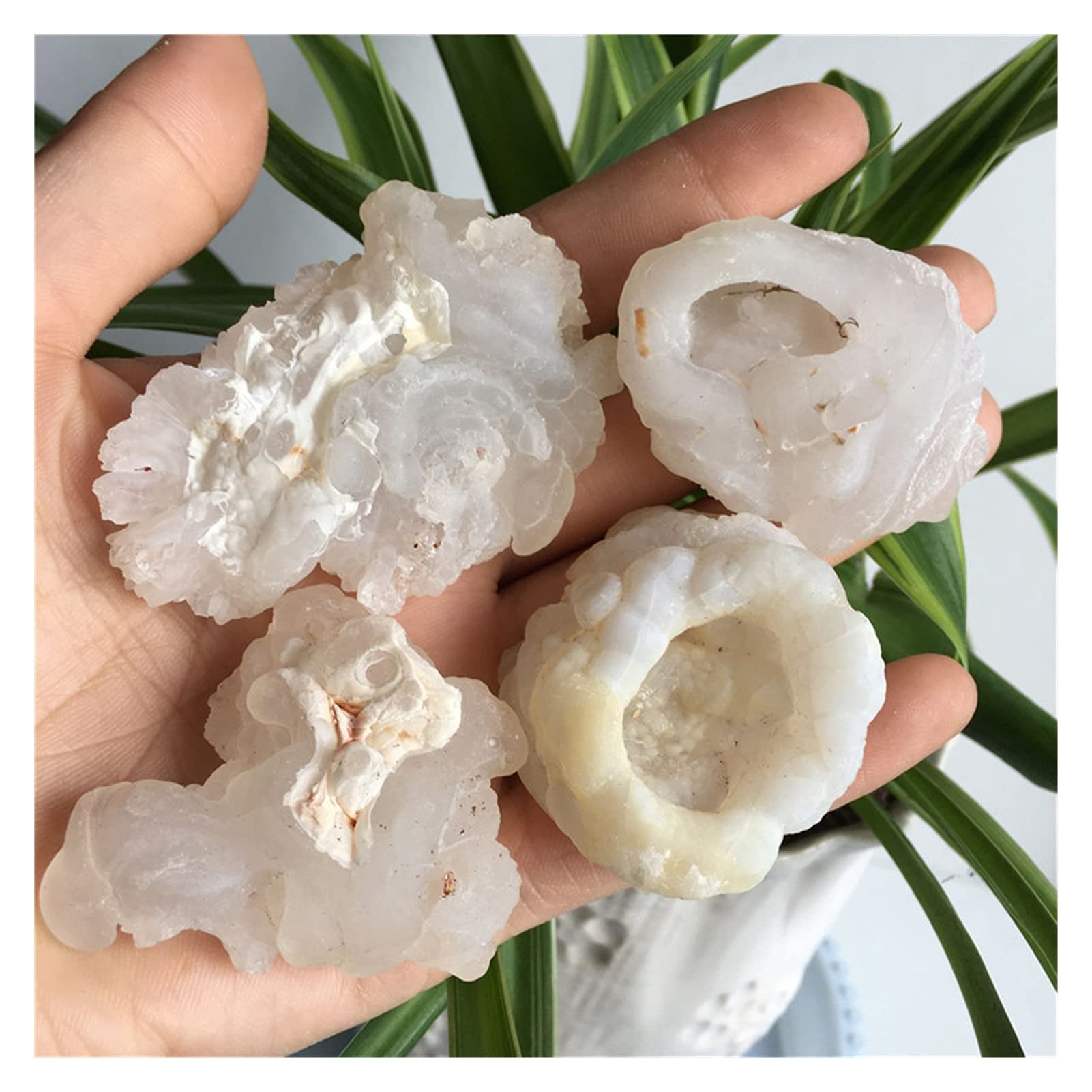 Agate brute de cristal naturel, le cadeau idéal pour amateurs de minéraux